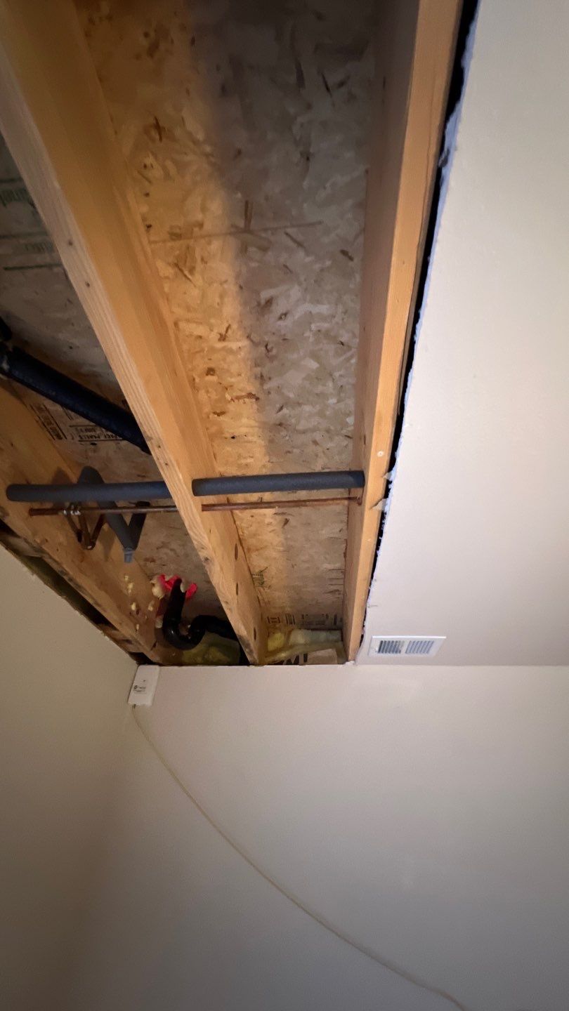 Water Damage and Mold Remediation by Accountable Home Services