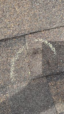 Turtle Shell gutter protection installation in Naperville, IL 60563, photograph 21