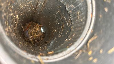 $0 Pop-In Visit — Dryer Vent Concern (Resolved) In San Antonio 78212