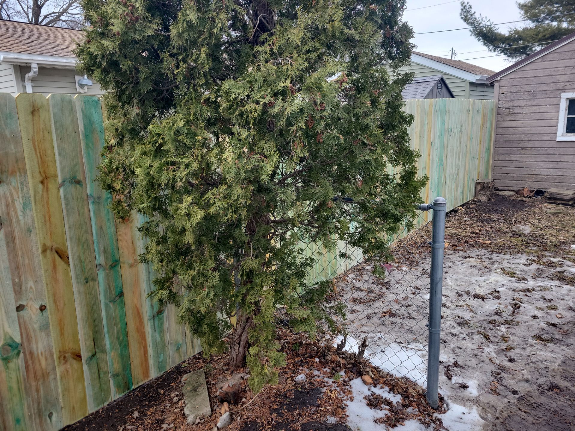 Wood Privacy Fence Installation and Replacement in Waterloo by Perfect Picket Fence and Stain