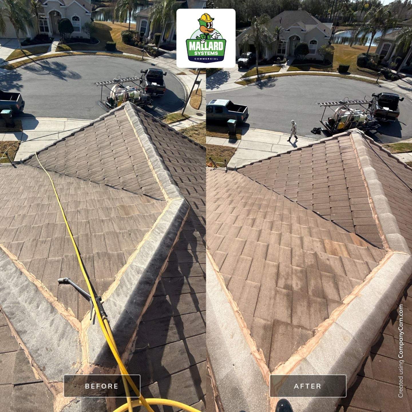 Flat Tile Roof Cleaning by Mallard Systems