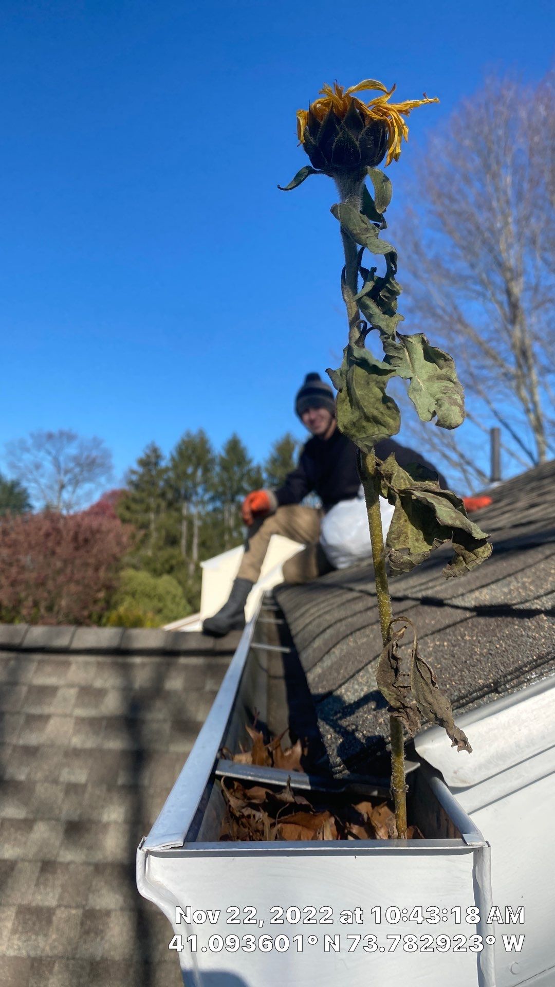 Awh, you shouldn't have! by Above All Gutters 