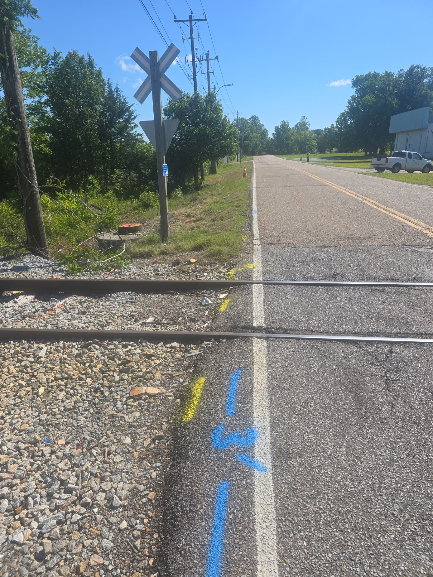 Utility Locate for survey purposes by Alsip Locating Service, LLC