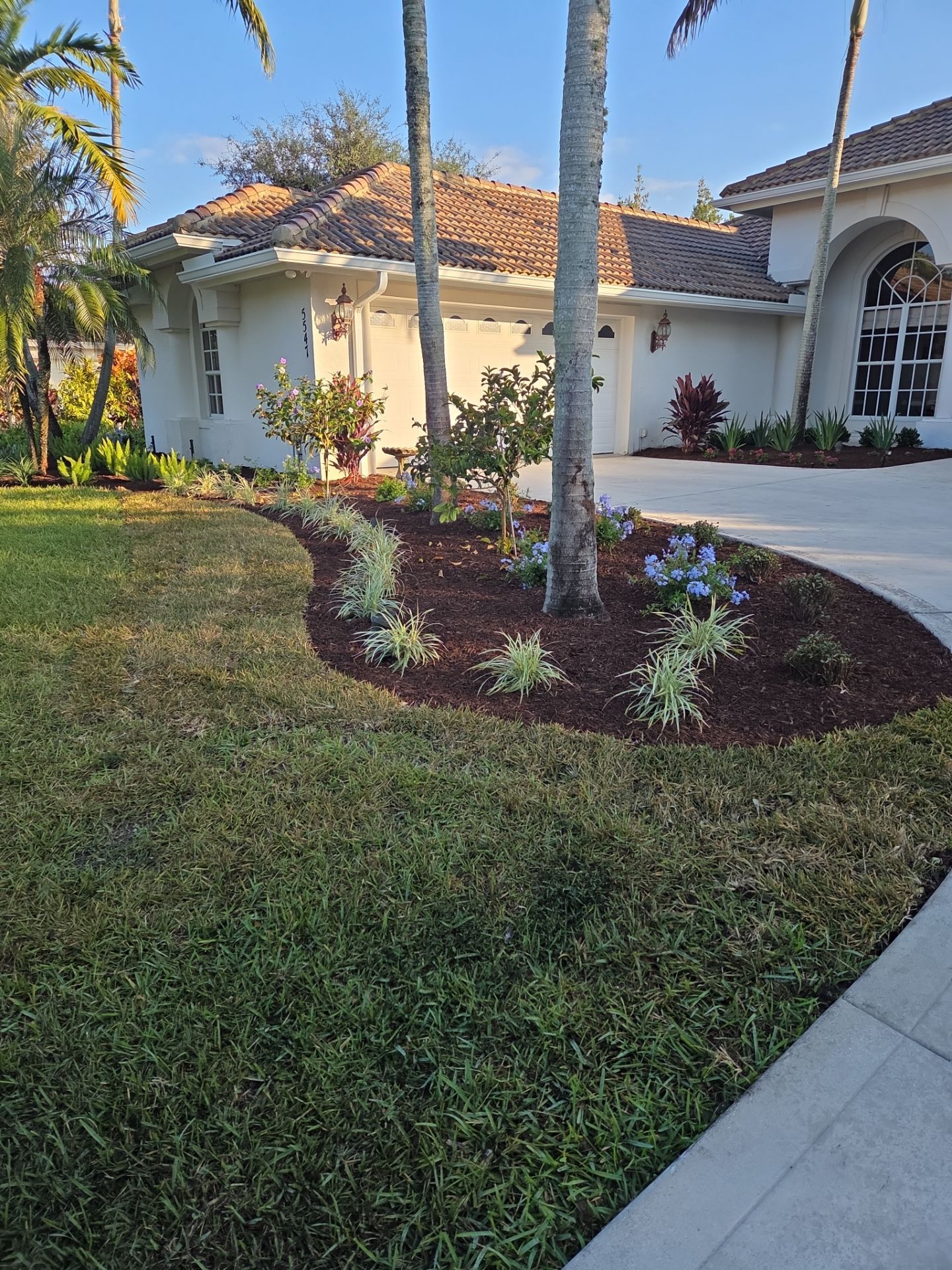 🌴 Landscape Removal and Install in Palm City by Alpha Zeta Enterprises Inc