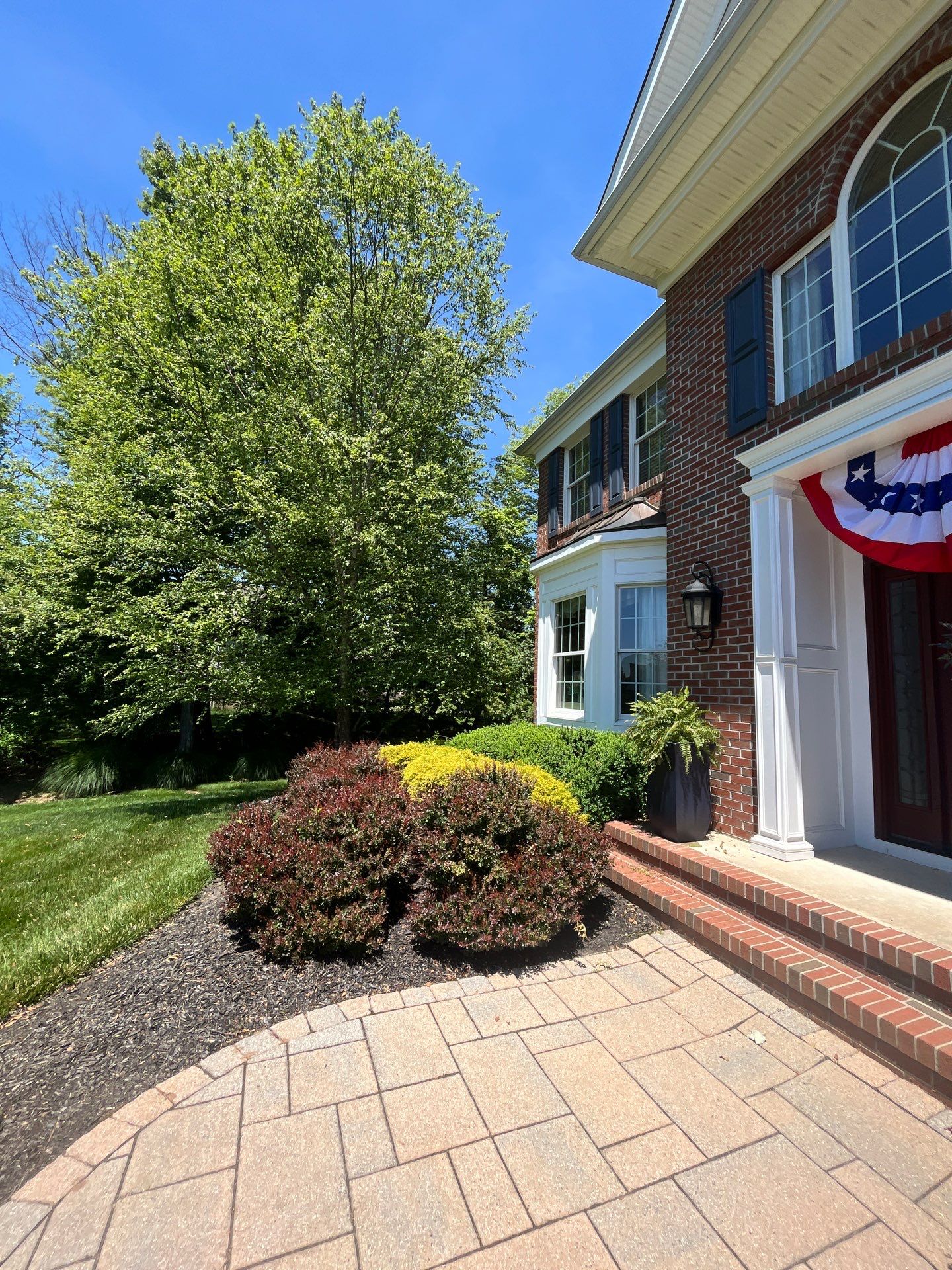 Lawn Care and Shrub Care at a beautiful Bridgewater property by Ants Plants