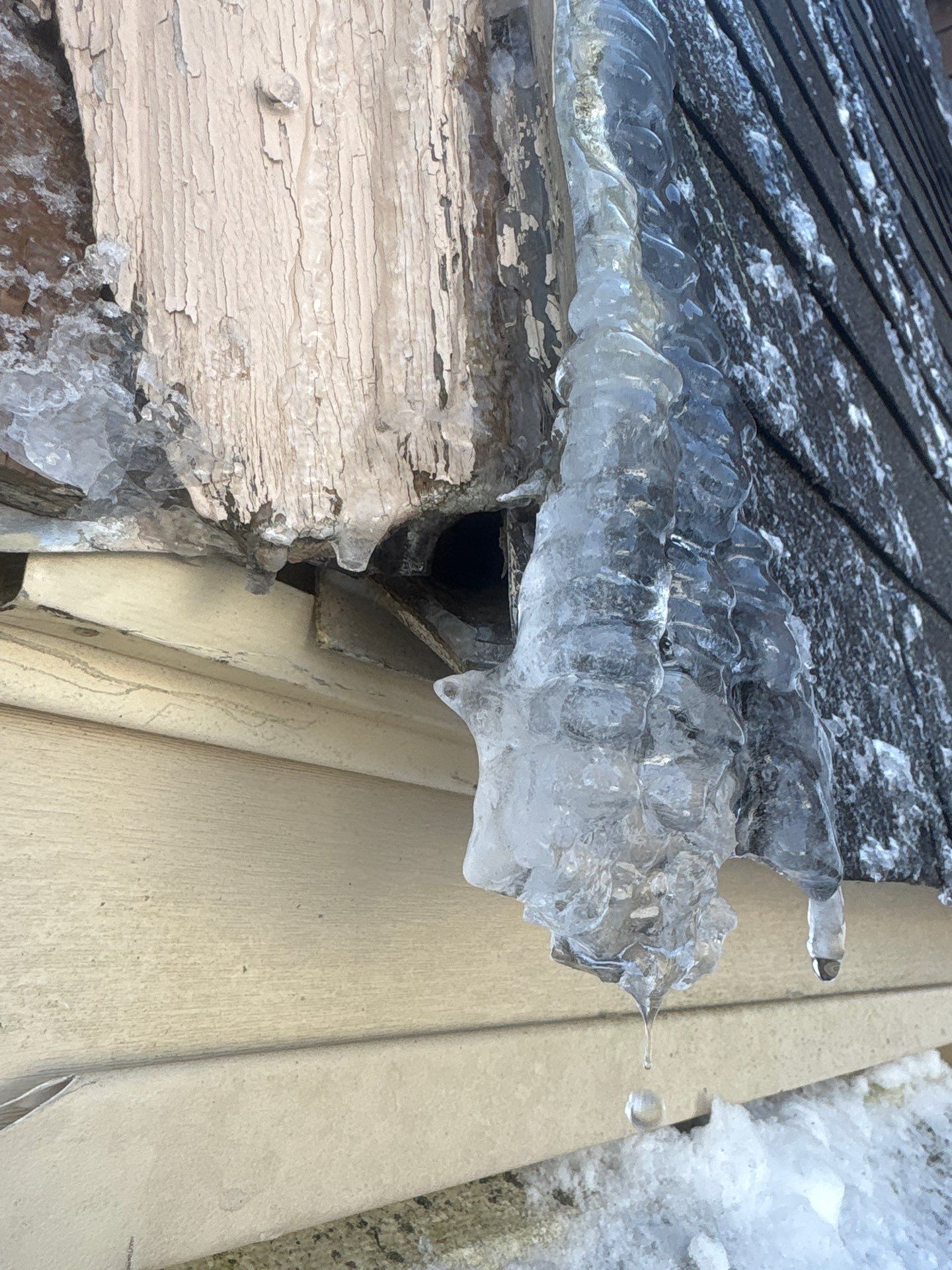 Ice dam removal by Mighty Dog Roofing of Greater Middlesex County