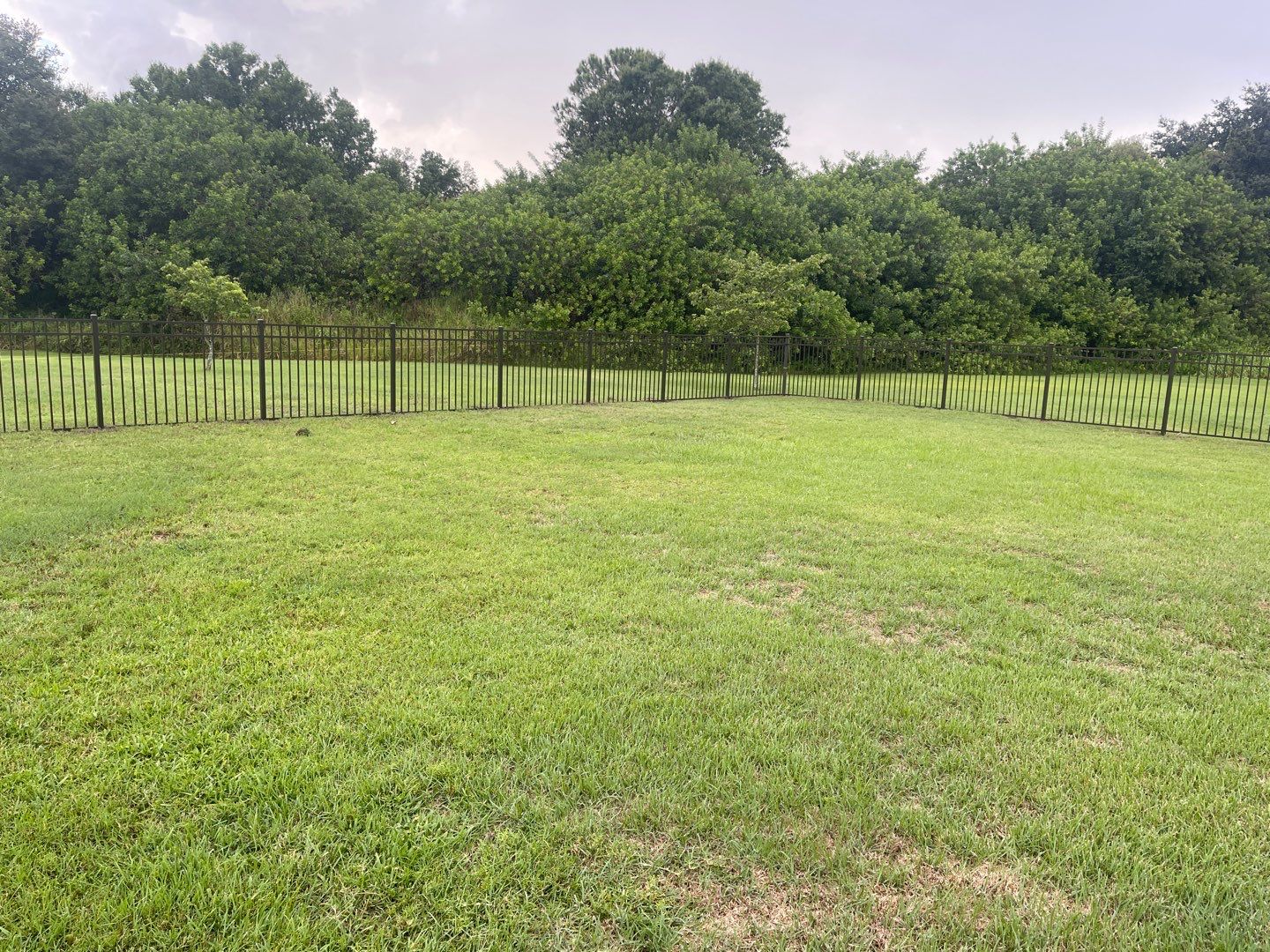 Parrish, FL 4ft. Tall Black 3-Rail Aluminum Fence by Asap fence and gates, LLC