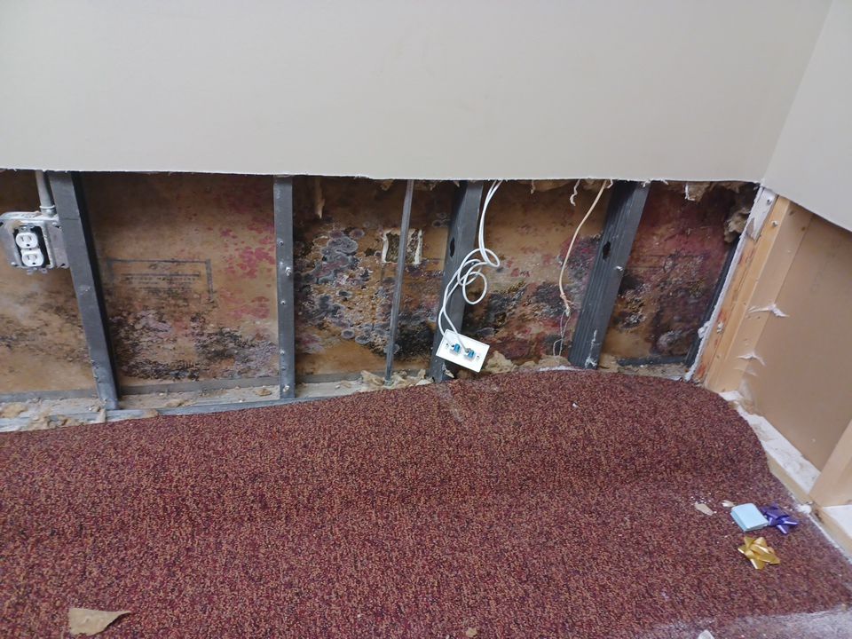 Project in Commerce Twp by EzDry Water Mitigation & Property Restoration