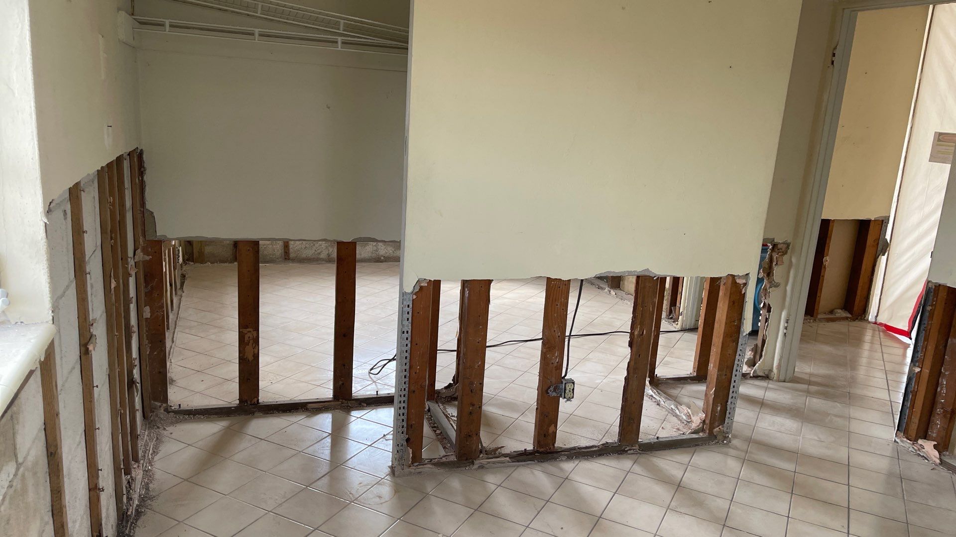 Mold Remediation  by THE RAPID TEAM