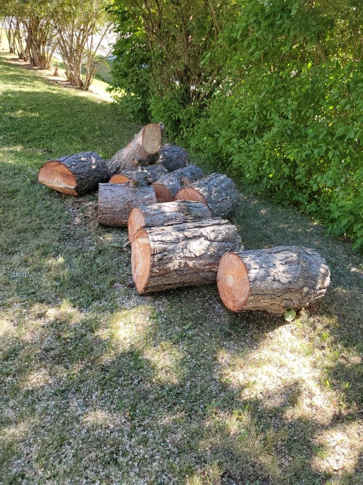 Tree Removal using Tree Removal by Mike Jones & Sons Tree Service LLC 