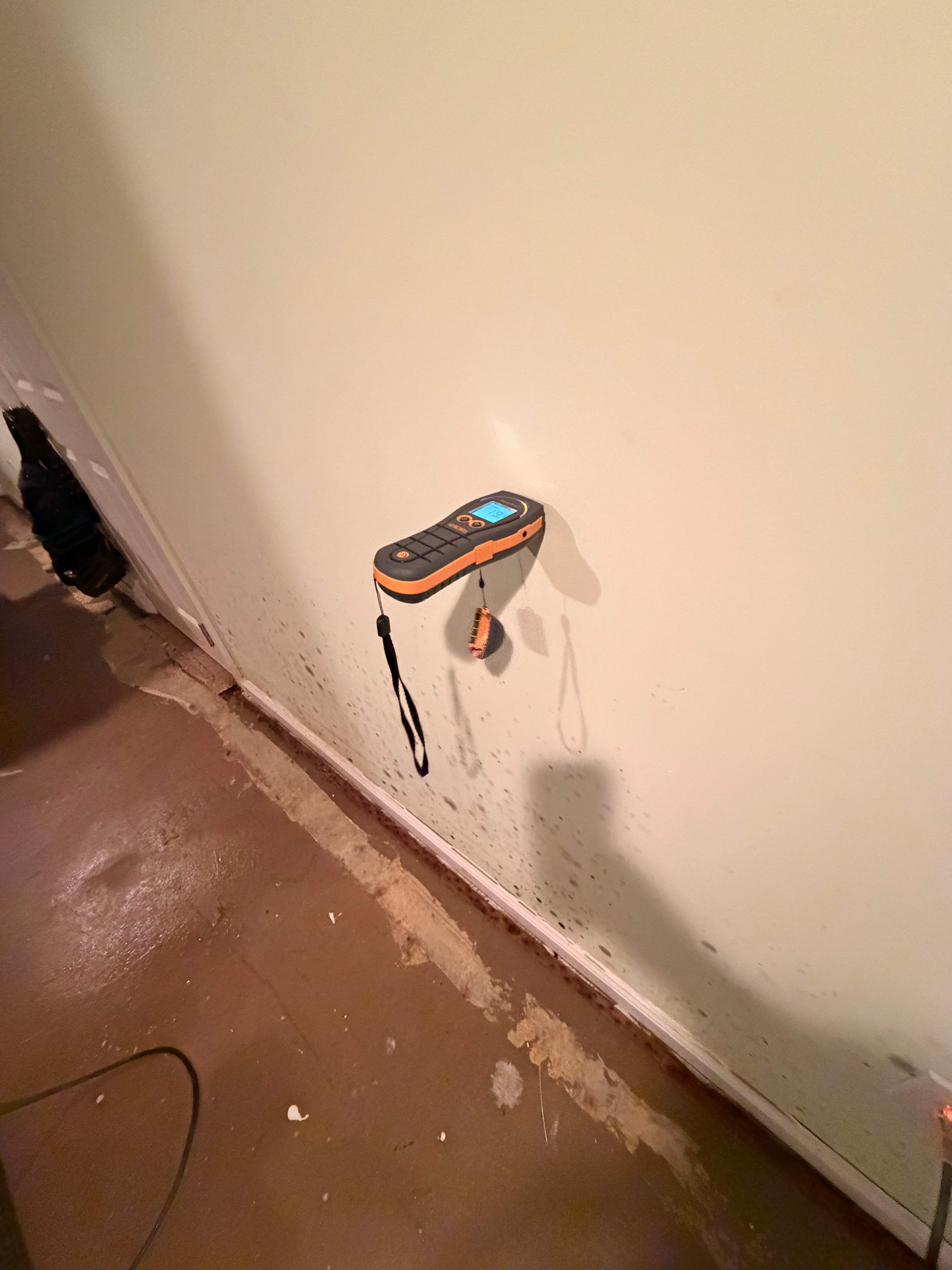 Water Damage / Mold Damage by Newhouse Restoration