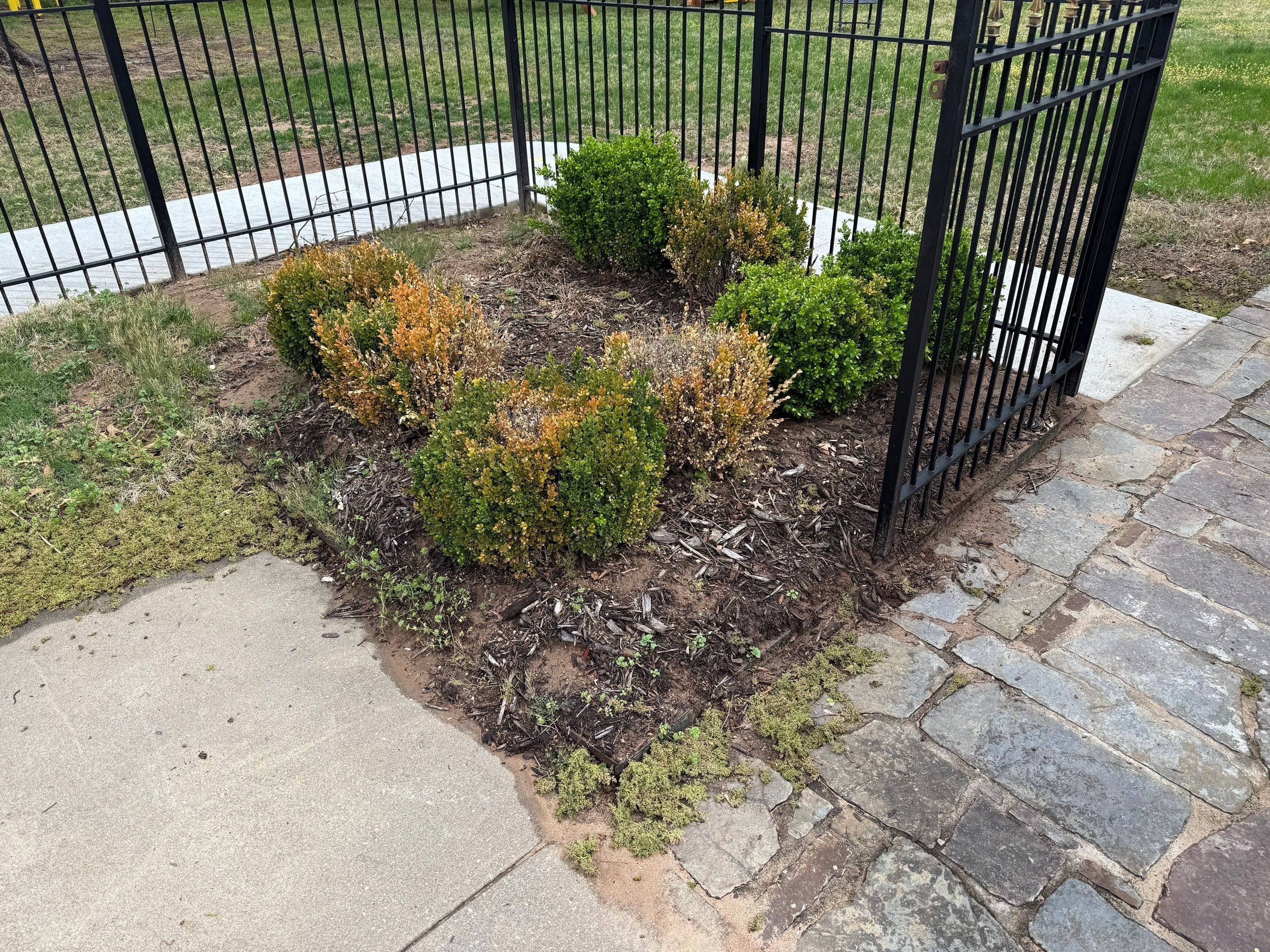 Project in Tulsa by Greenscapes Outdoor