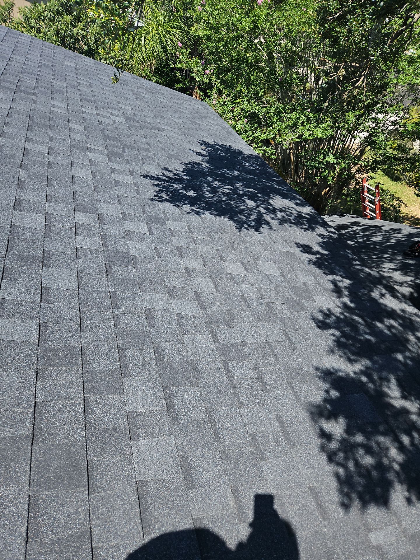Shingle Reroof Replacement Oviedo FL  by Pinnacle Roofing Group