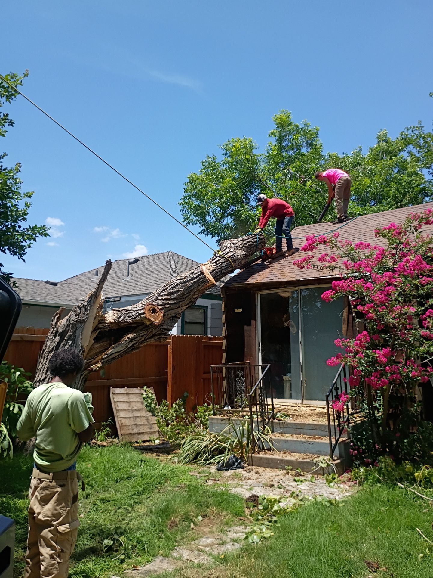 Dangerous Tree Tree Removal  by Clays Services Inc