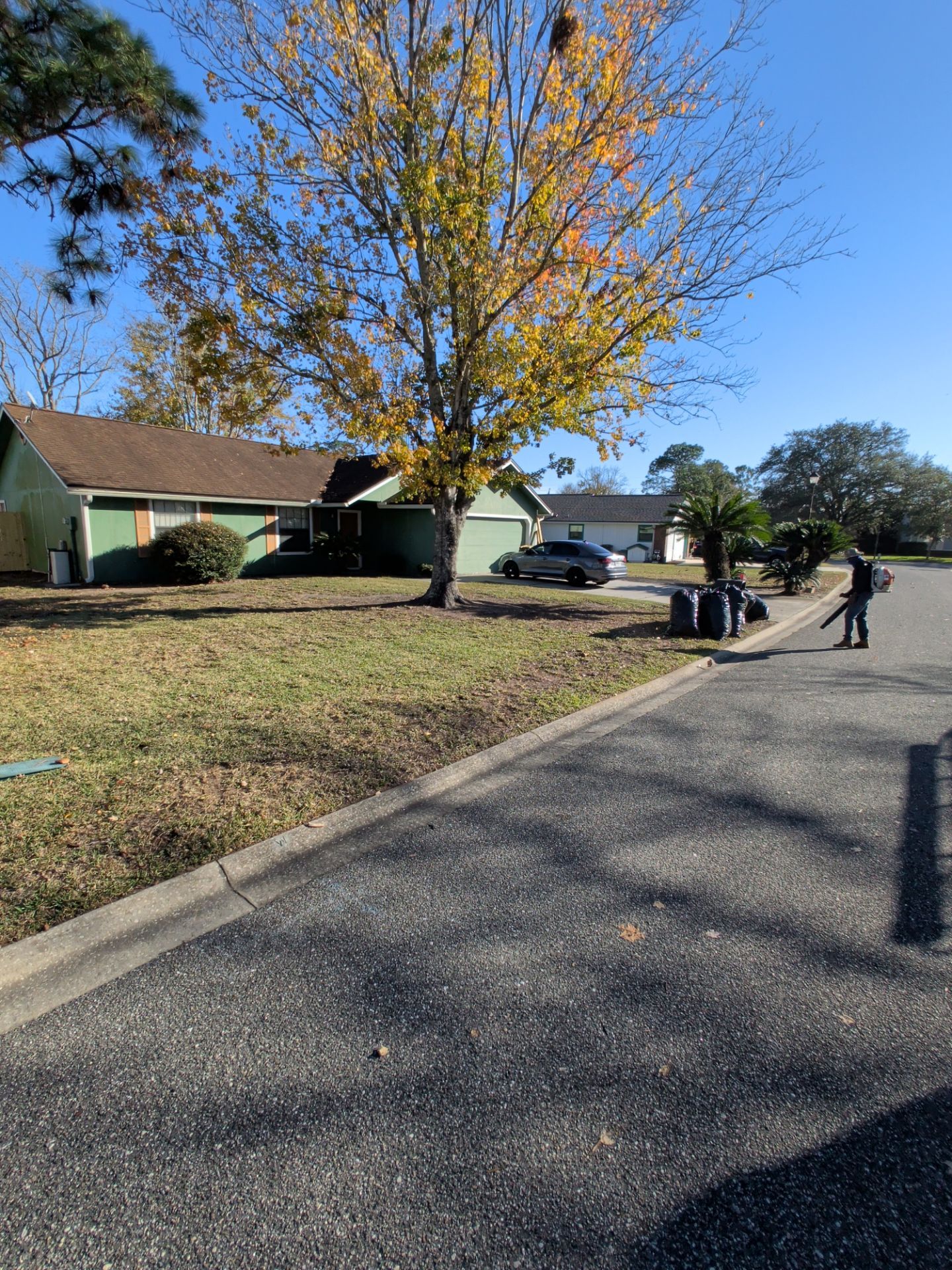 Residential Leaf Removal Service — Westside Jacksonville by Harmoni Home Services