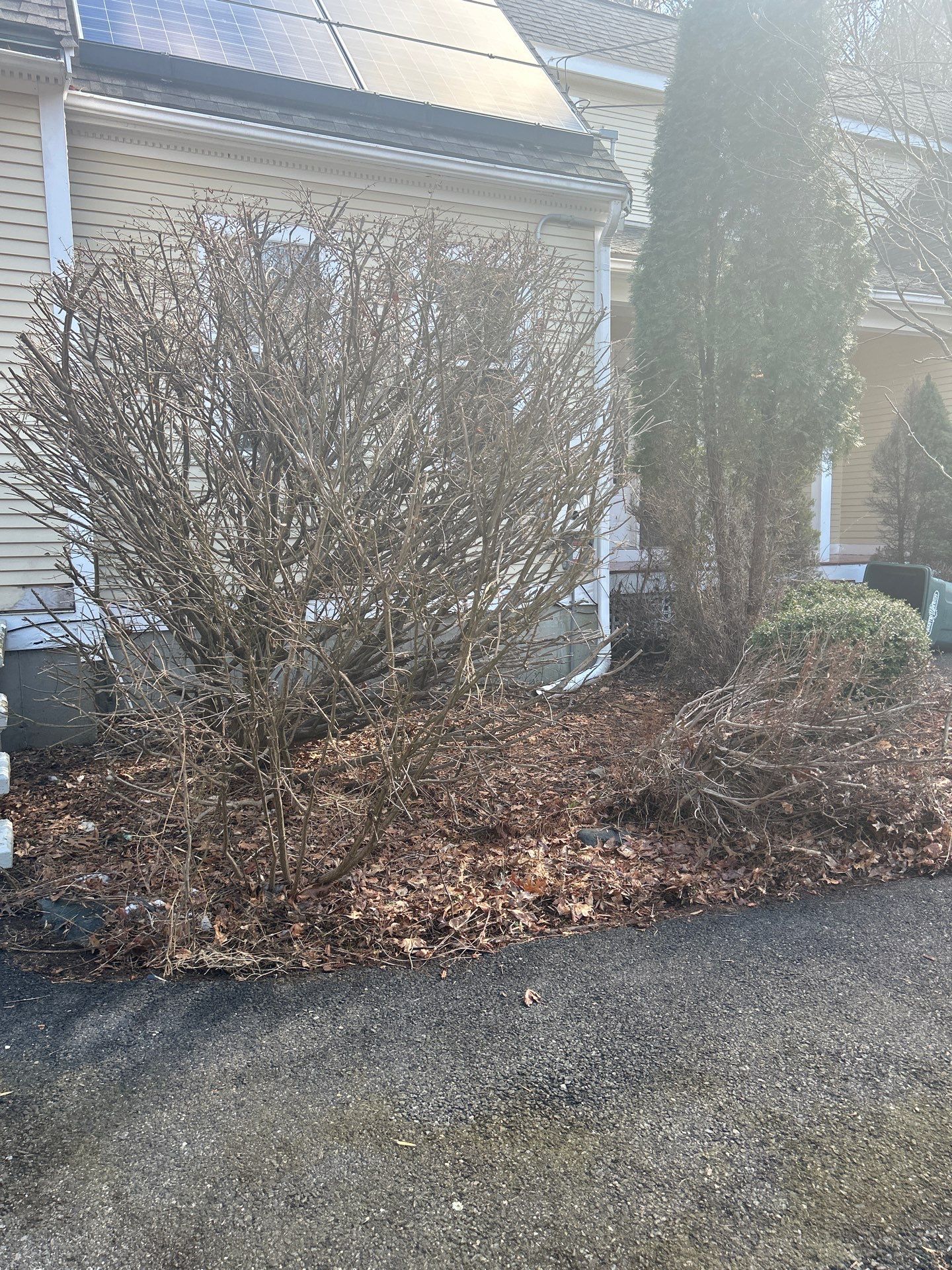 Landscape Walkthrough by LaMere Landscaping and Property Maintenance