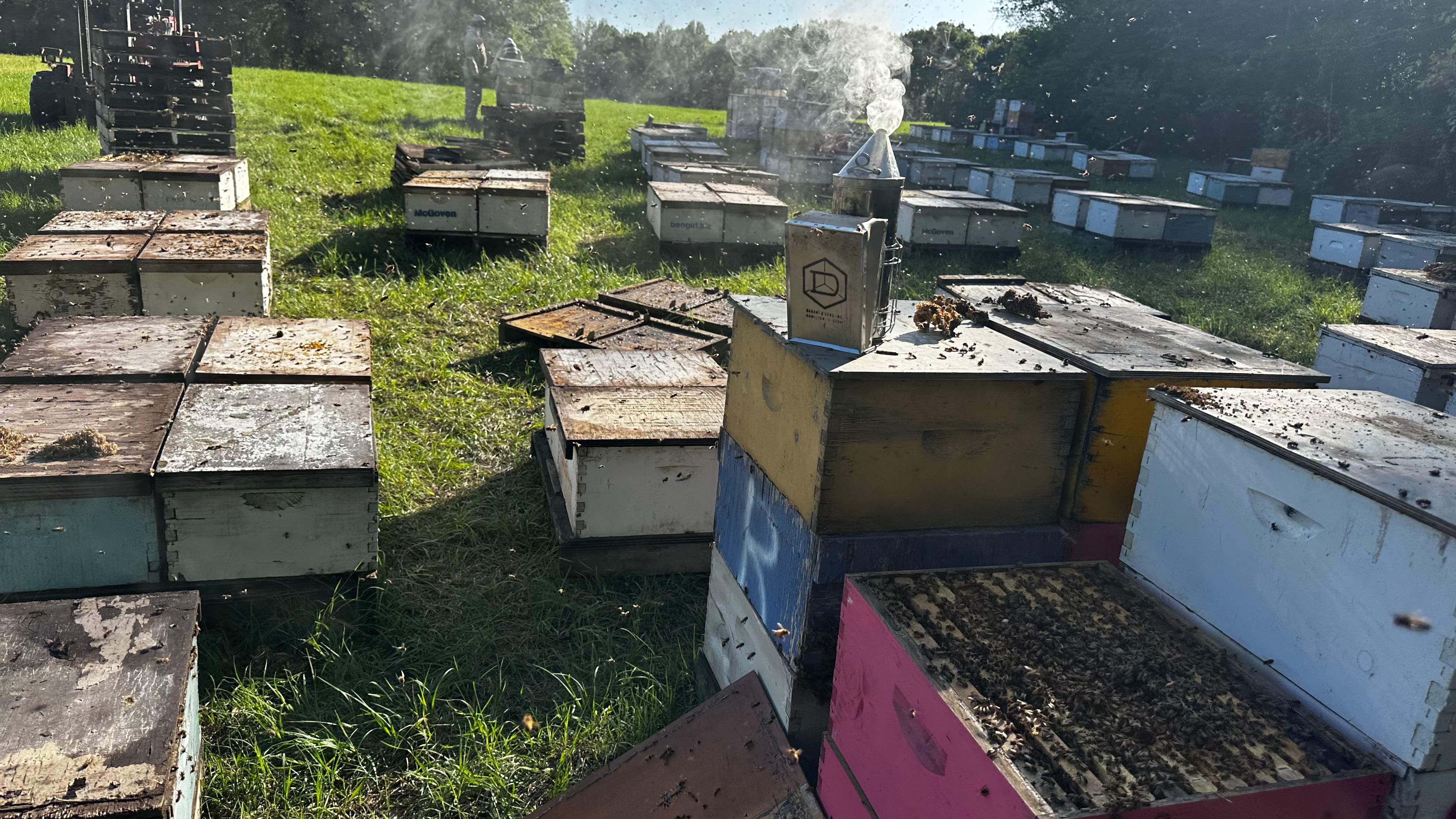 Traylor's Hay Meadow Apiary by Rockwall Honey Bee Company
