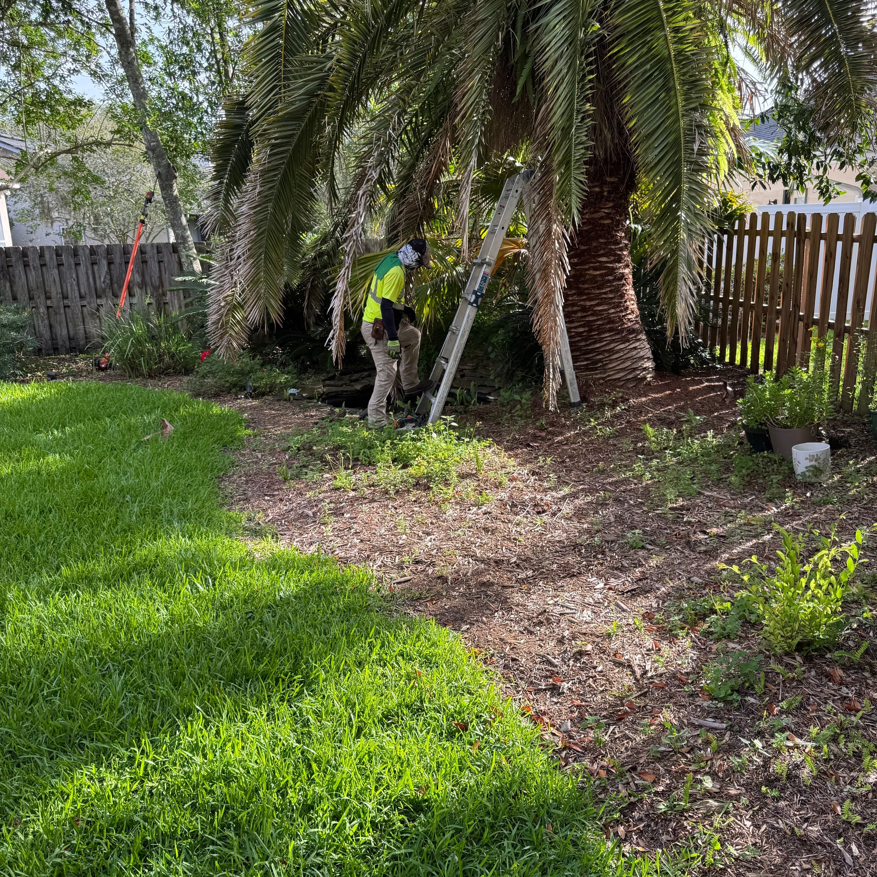 Deerwood Resident | Tree Trimming & Sod Install by ProGreen Services