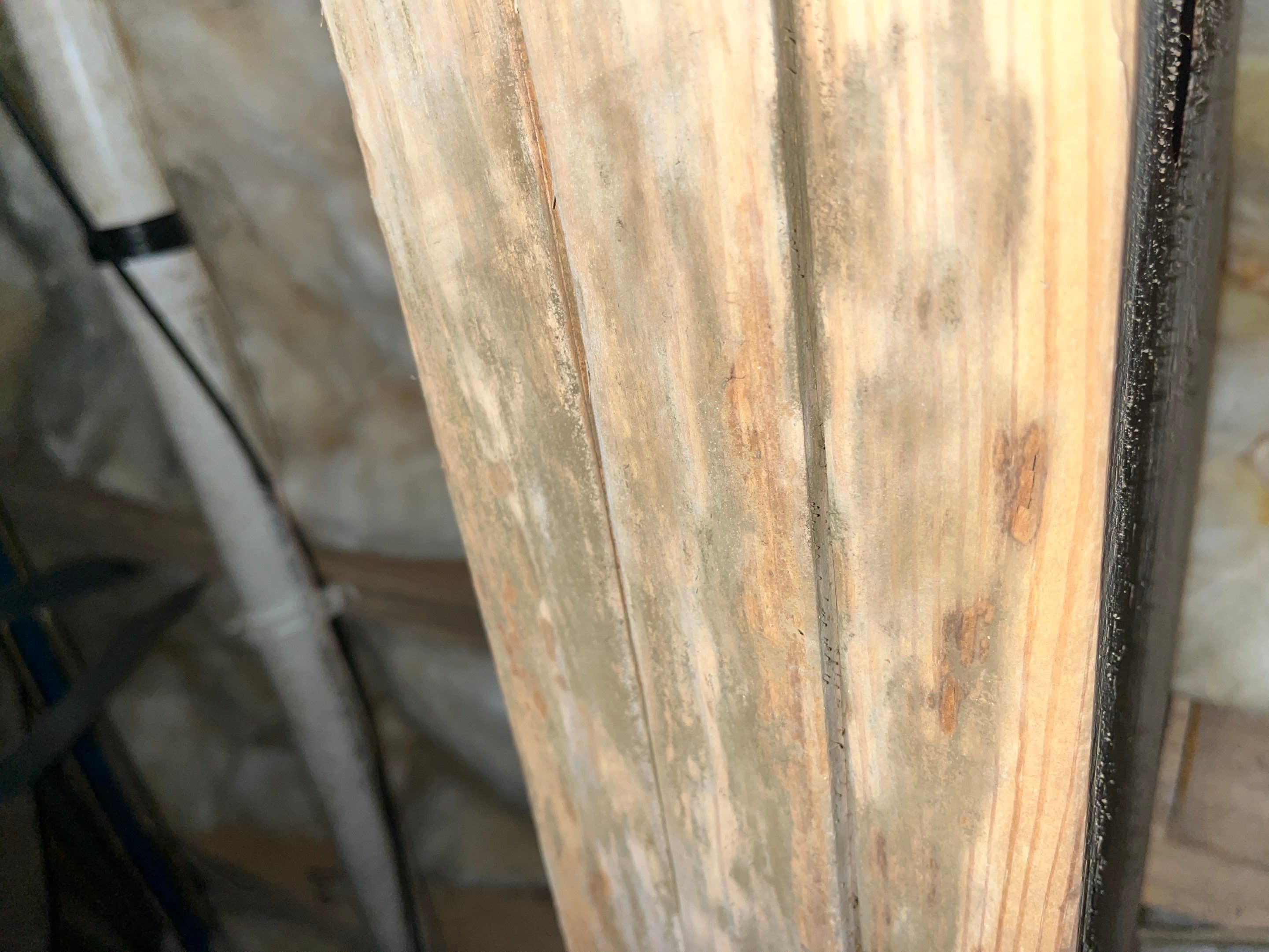 Impact Choice Encapsulation with French Drain, Mold Removal, and Crawlspace Door by Impact Crawlspace