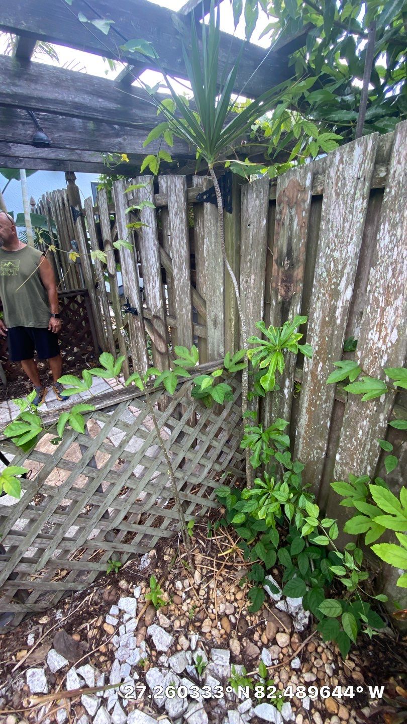 Sarasota, FL 6ft. Tall Horizontal Shadowbox Wood with 4ft. Tall 3-Rail Black Aluminum Fence by Asap fence and gates, LLC