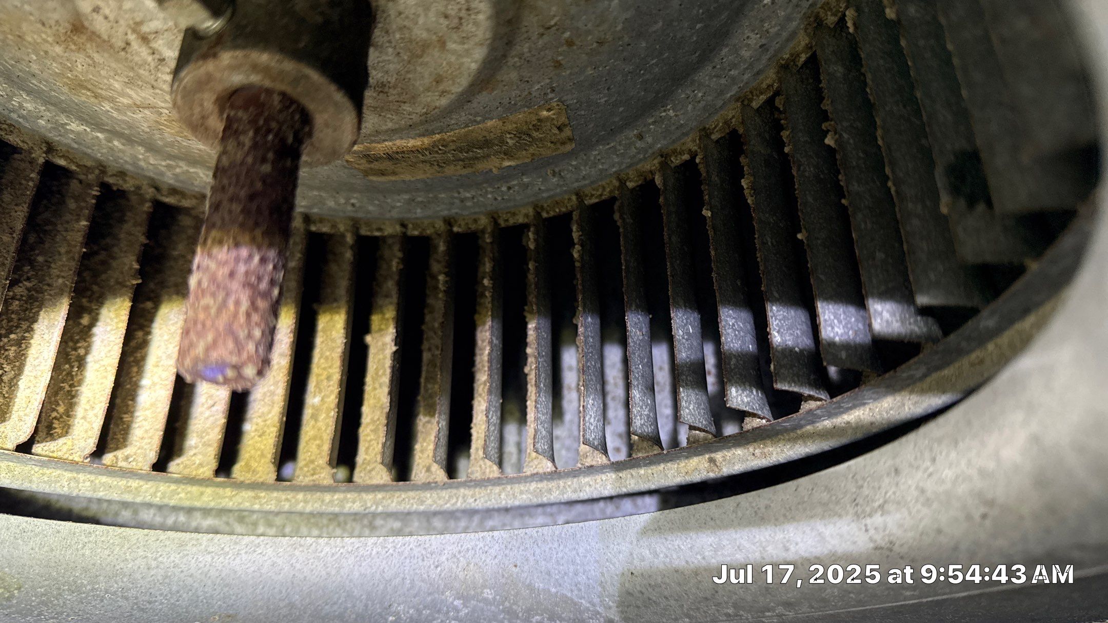 Mold Assessment in a 100+ year old house by Building performance Solutions LLC