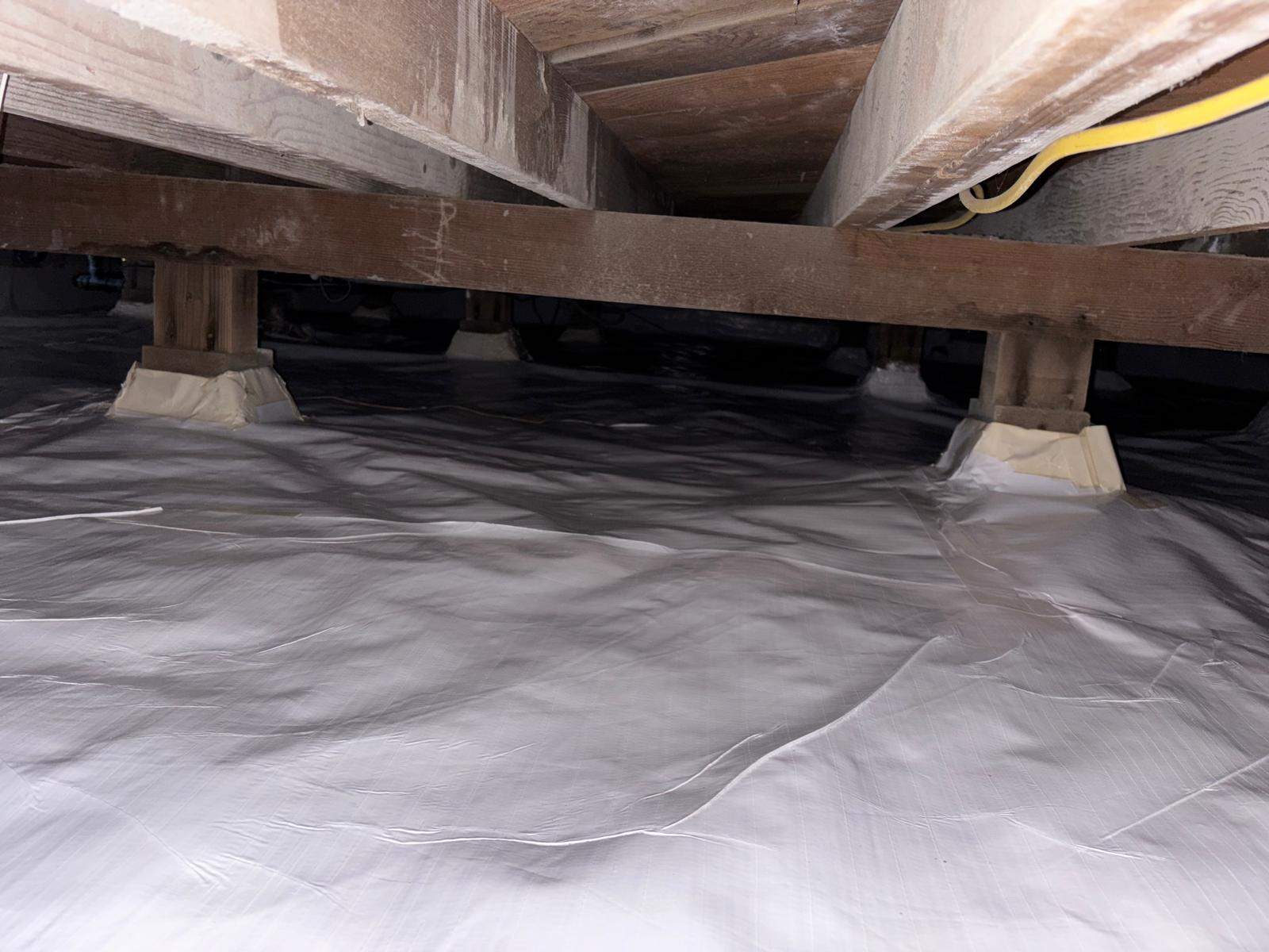 Project in Venice by Insulation Labs