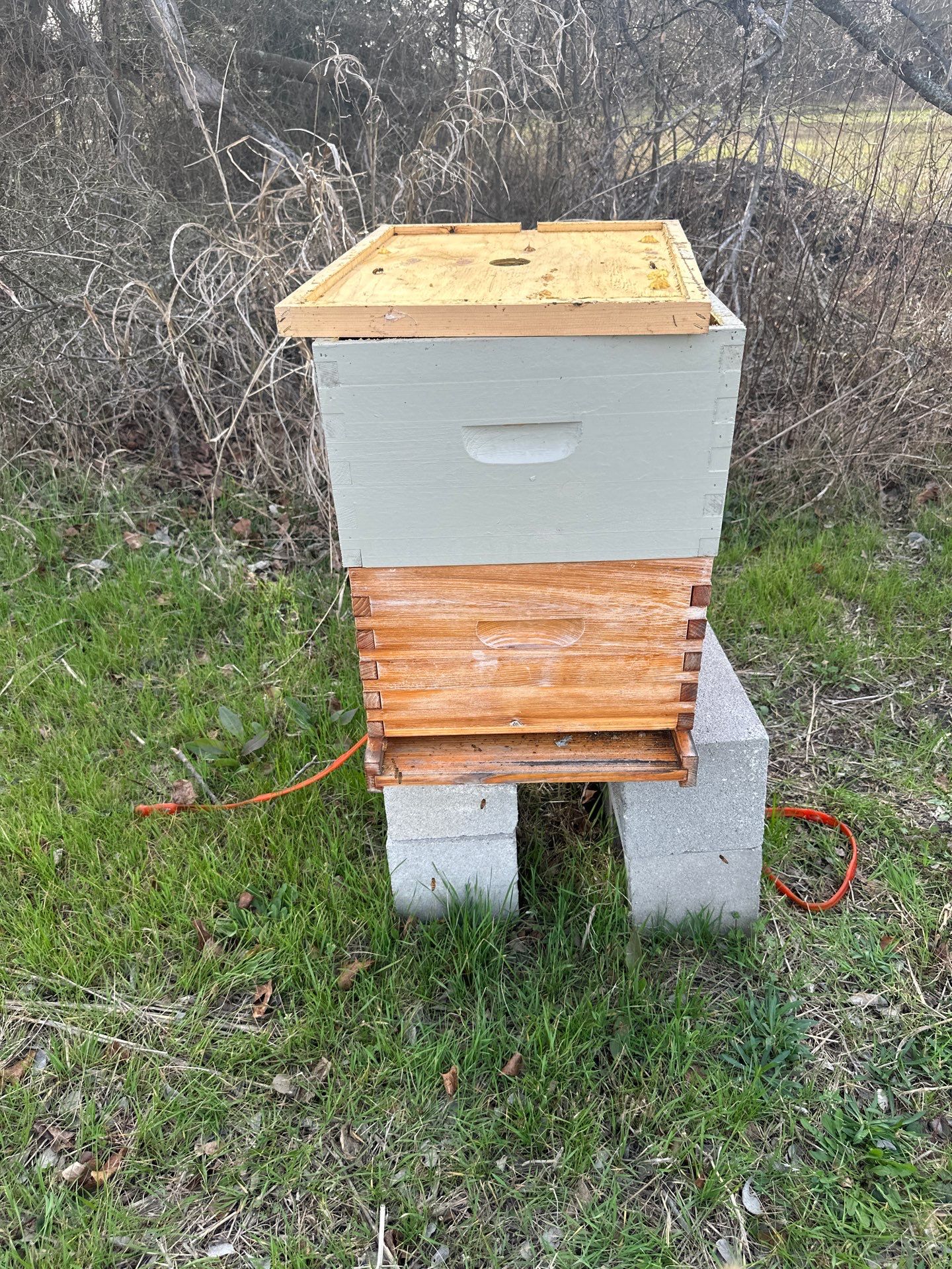 Honey-Maker Apiary in Greenville by Rockwall Honey Bee Company