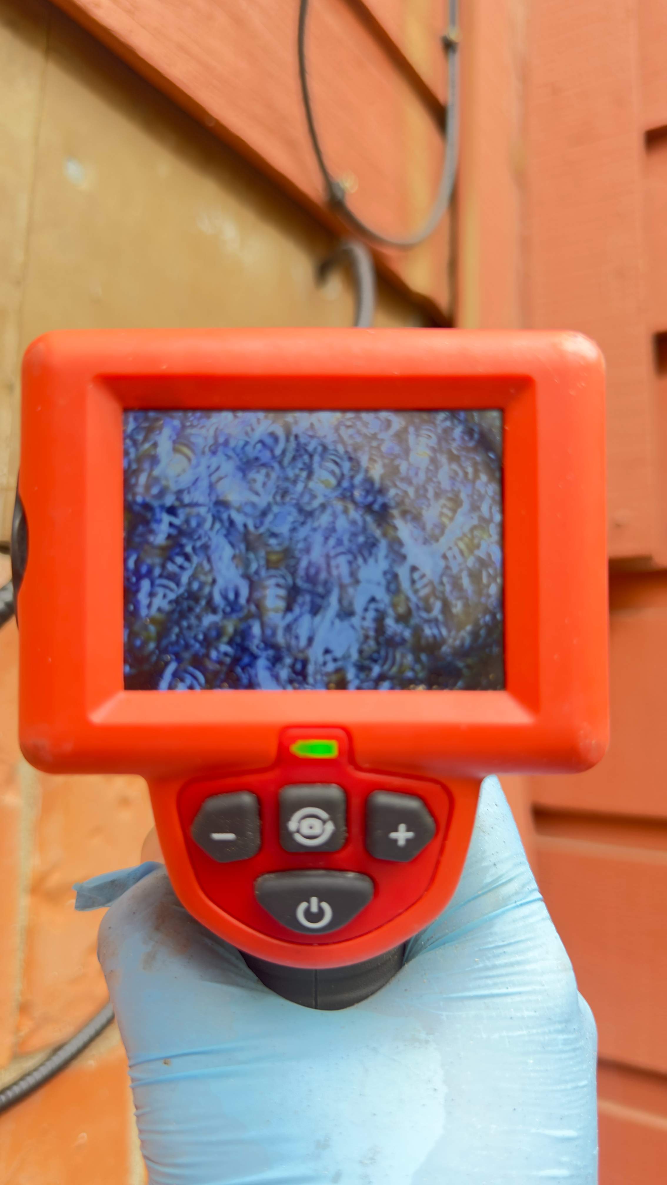 Apartment by Rockwall Honey Bee Company