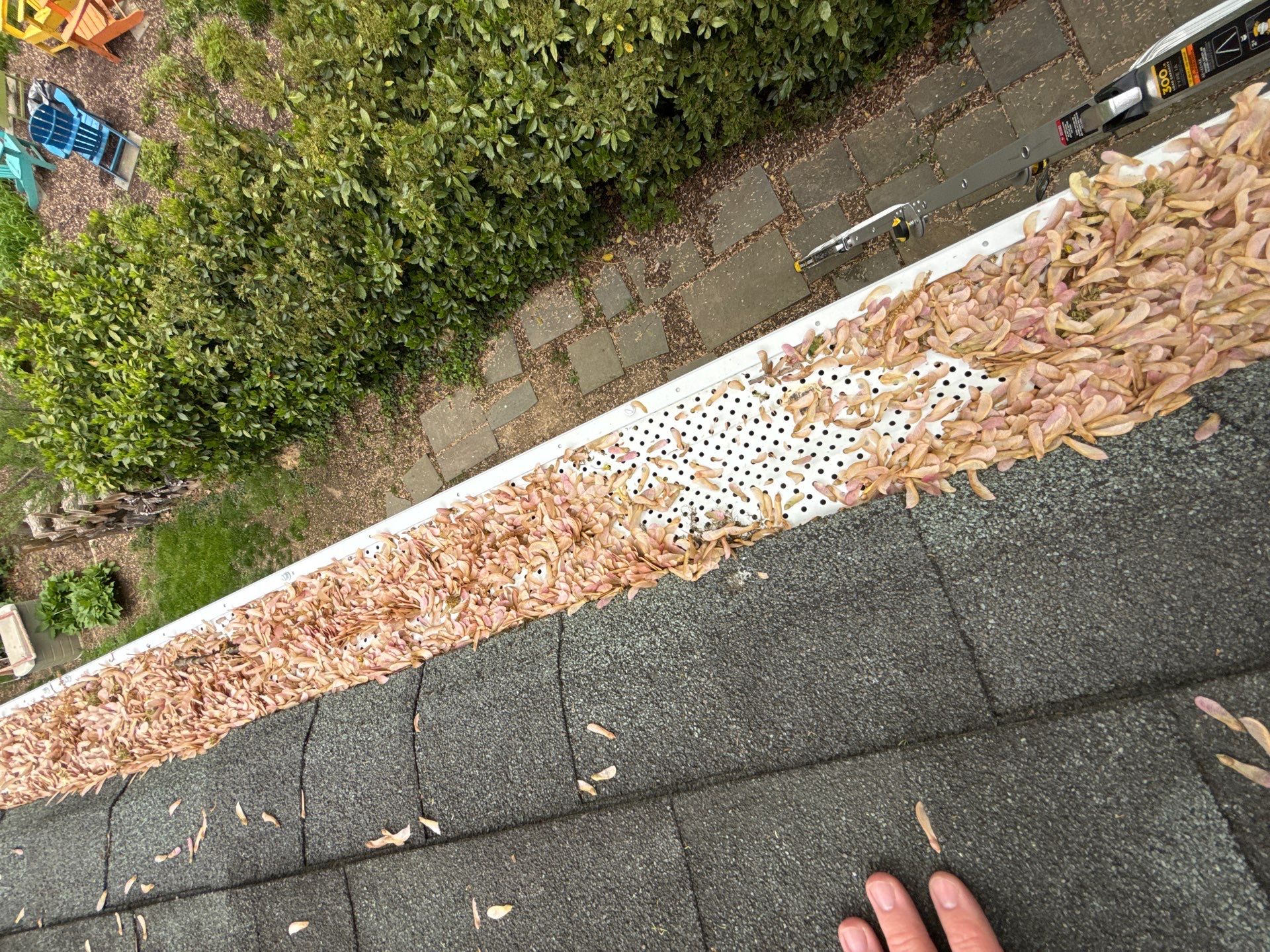 Roofing Services in Arlington, VA by My Painter 