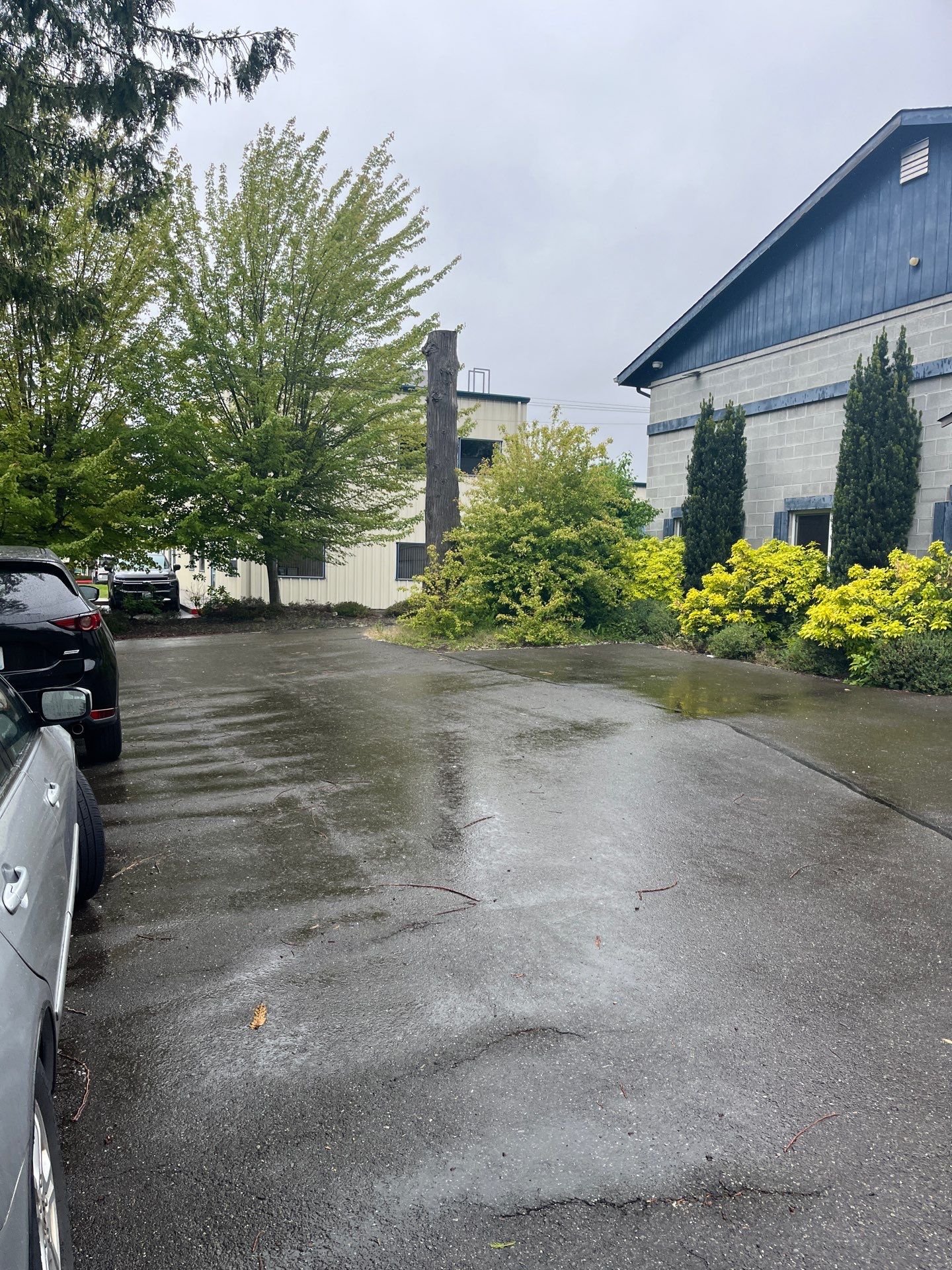 Jacob | Asphalt Striping   by Jireh Asphalt & Concrete Inc 