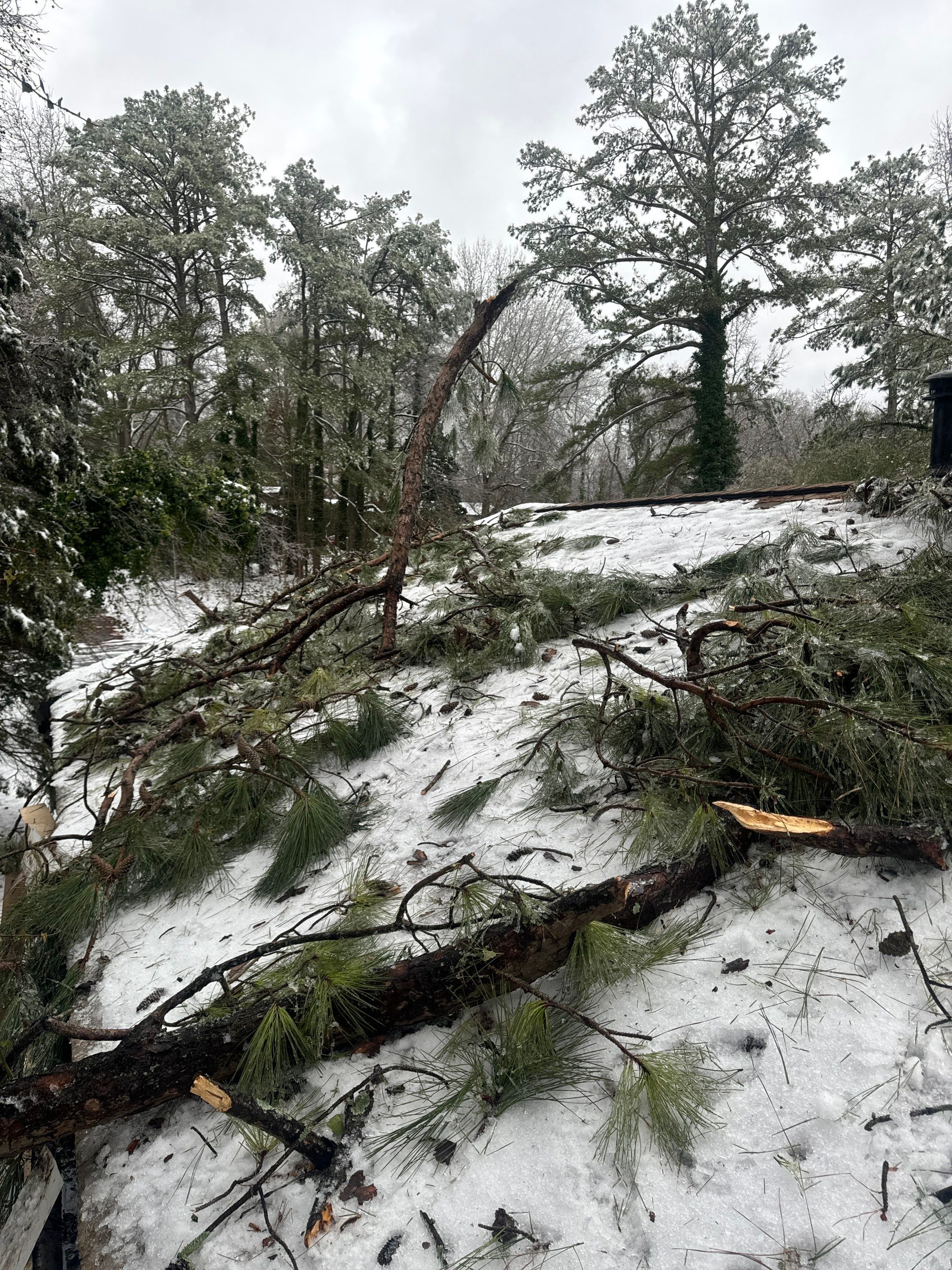 Emergency Roof Damage Roof Repair using GAF HDZ Architectural Asphalt Shingles by Mosaic Roofing Company