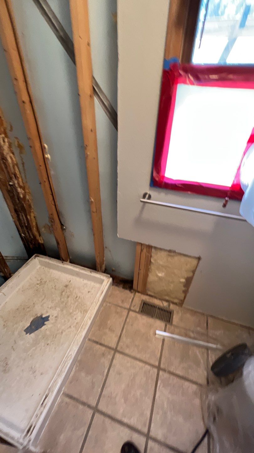 Water Damage and Mold Remediation by Accountable Home Services