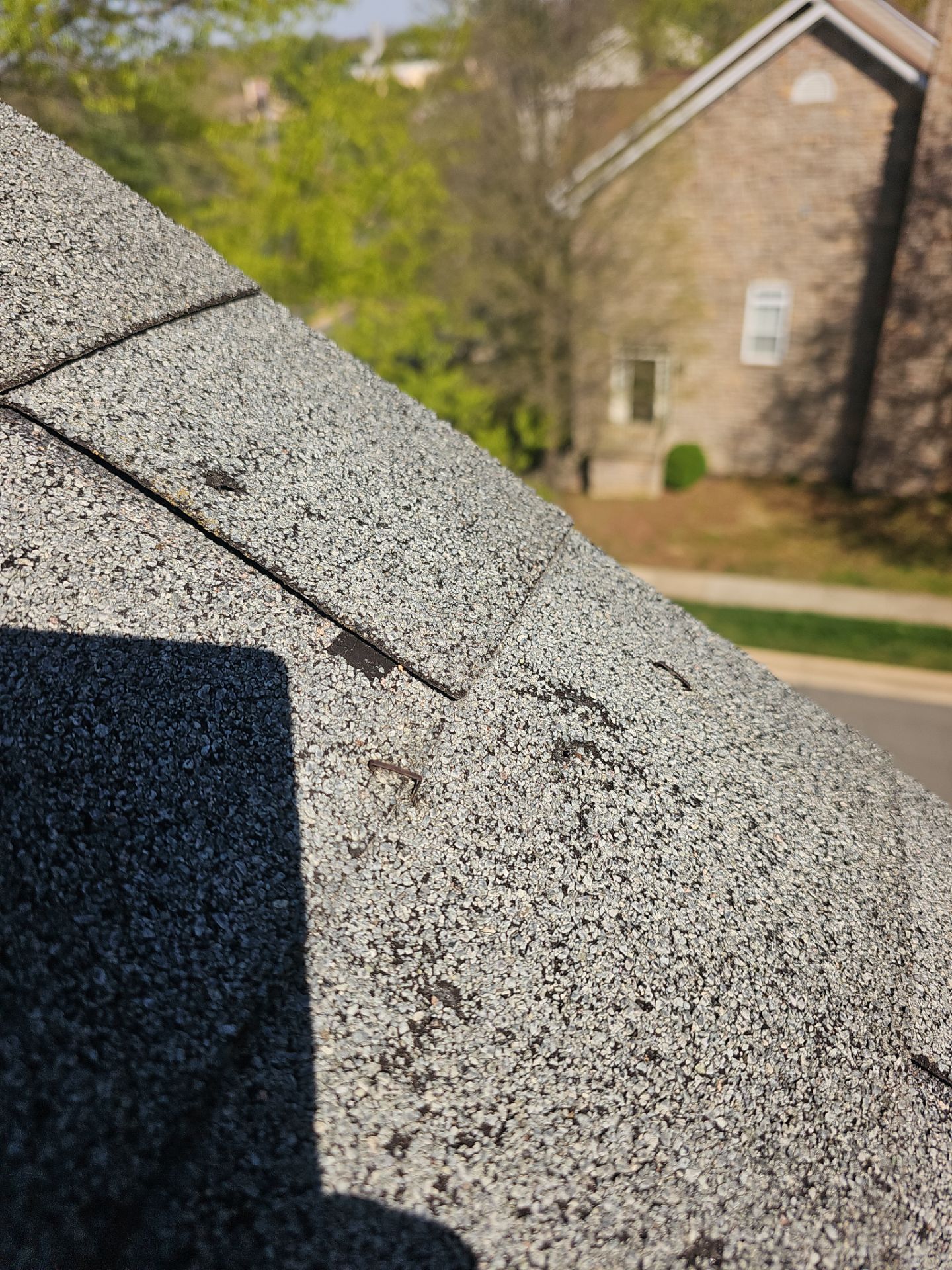 Roof Replacement - Moire Black by Winchester Roofing