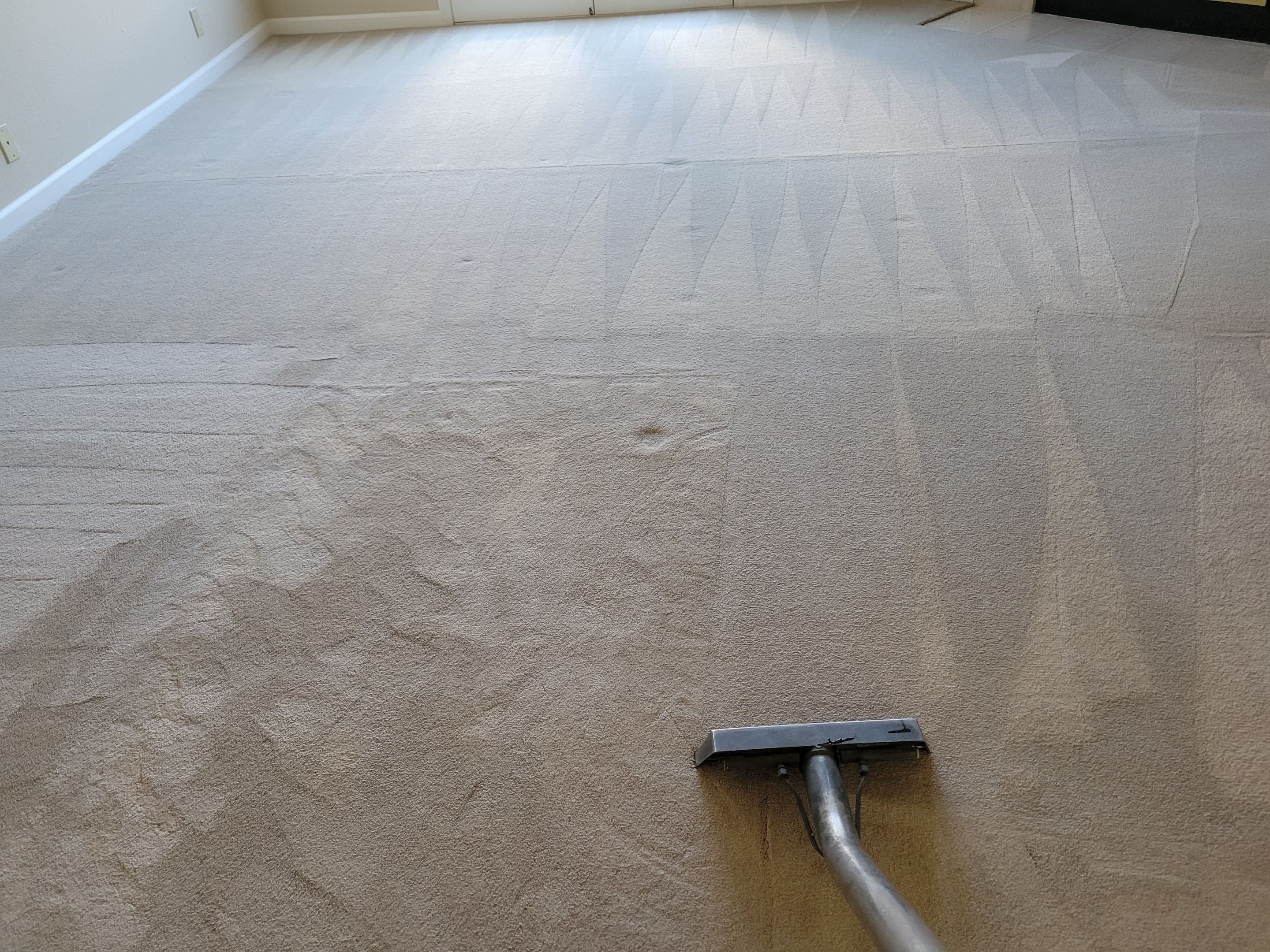 Carpet Re-stretch & Cleaning in Davis by Ardent Carpet Restore LLC