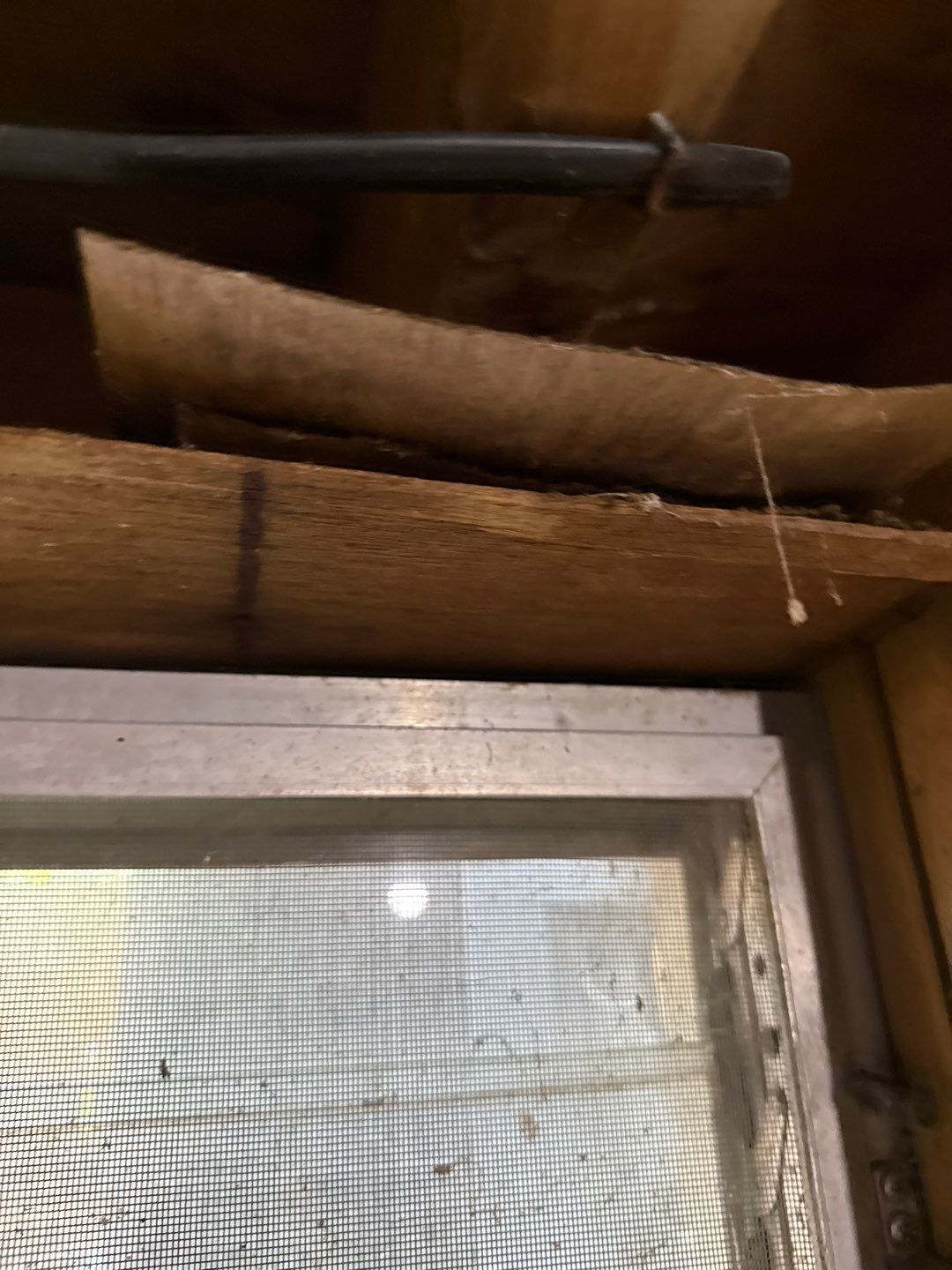 Post‑Remediation Clearance Test & Corrective Mold Remediation, Dover, DE. by Healthy Home Solutions