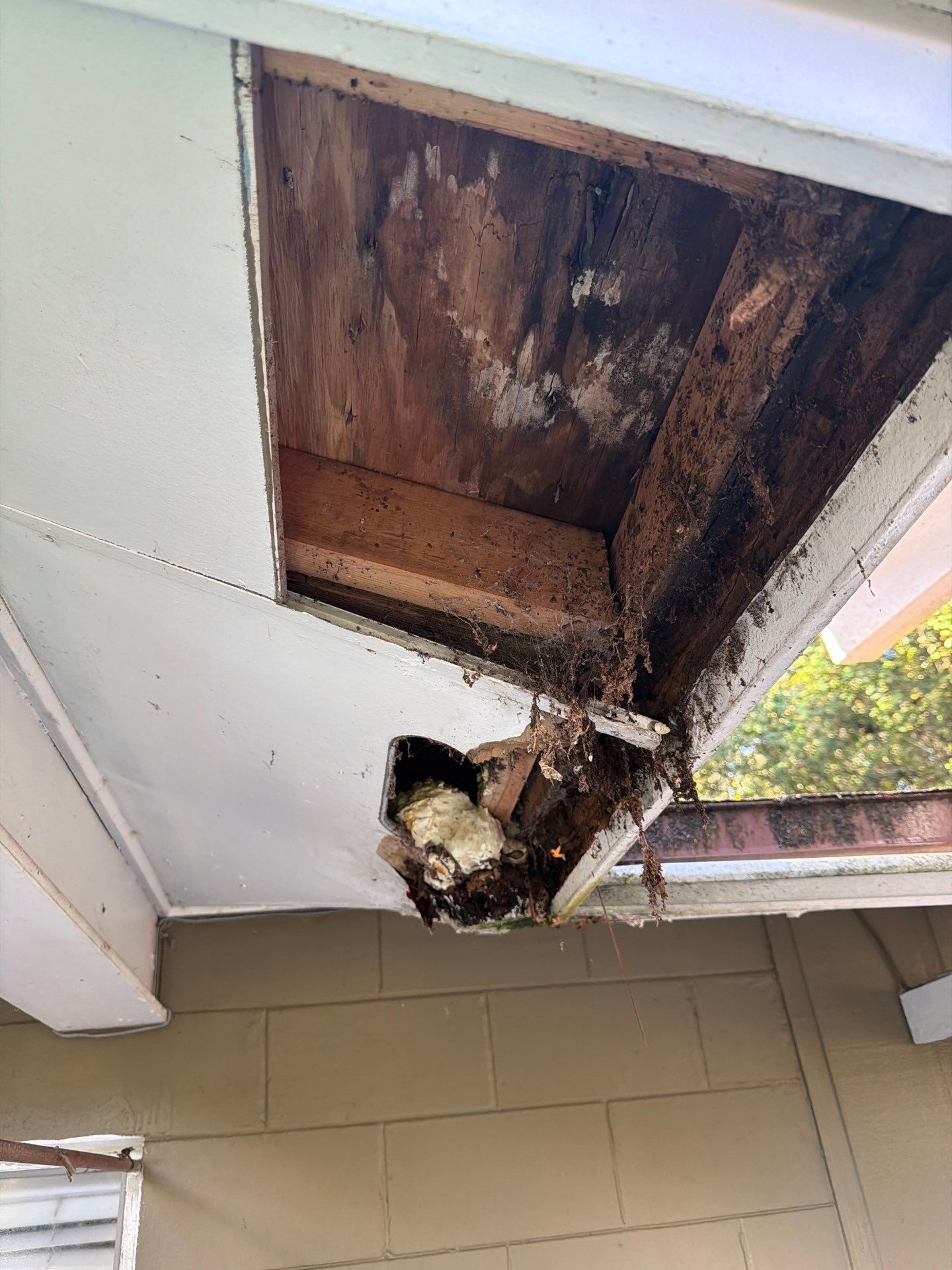 Sorrento Residential Fascia Repair and Soffit Wood Rot Restoration by Fortified Roofing Solutions Corp.