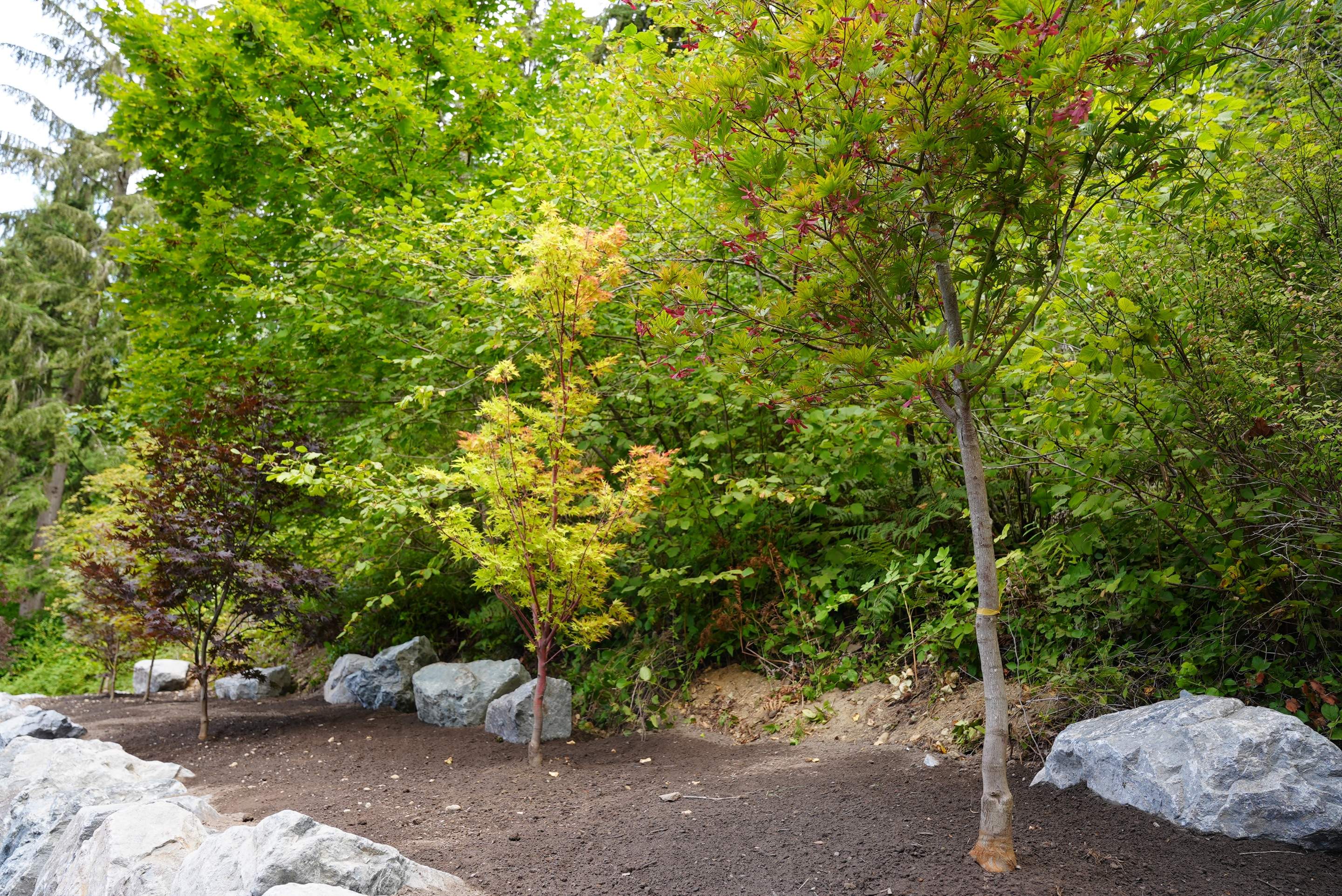 Jim | Rockery Wall, Landscaping, Road Repair & Sealcoating by Jireh Asphalt & Concrete Inc 