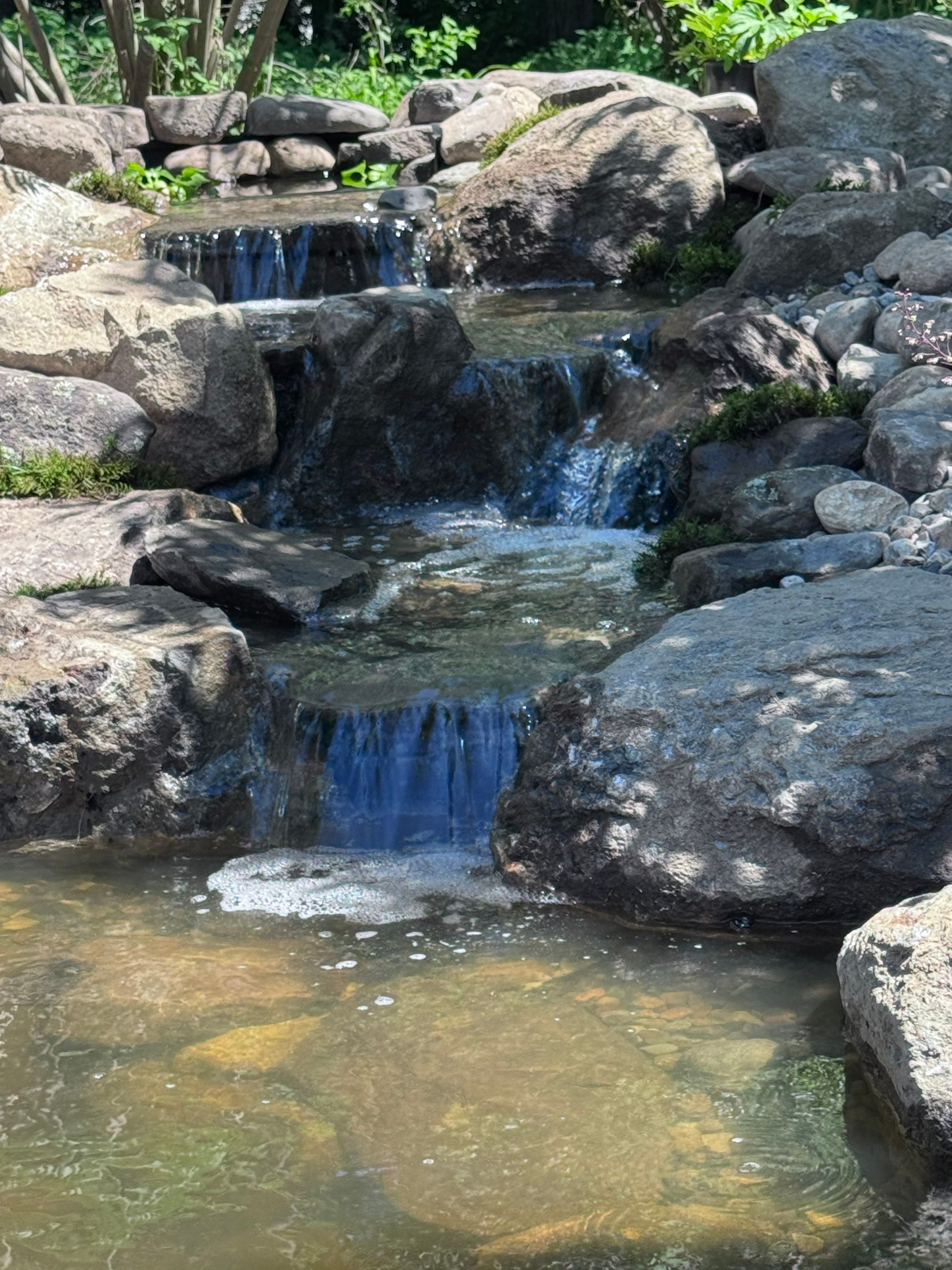 Complete Demo and Rebuild on a Small Pond in Amherst by Wicked Water Gardens