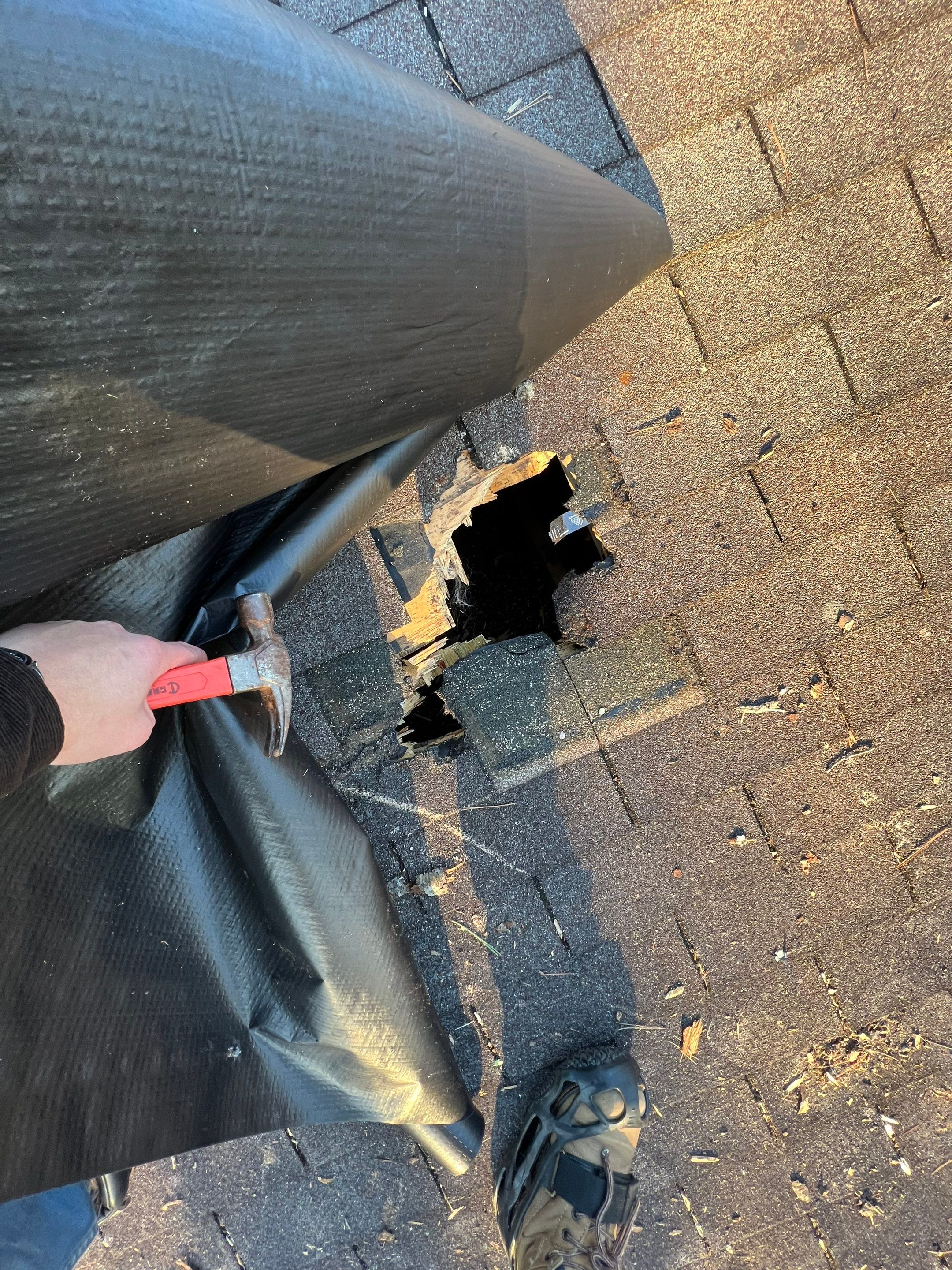 Manassas: CertainTeed Landmark Designer Shingles in Charcoal Black by RM Banning, Inc.