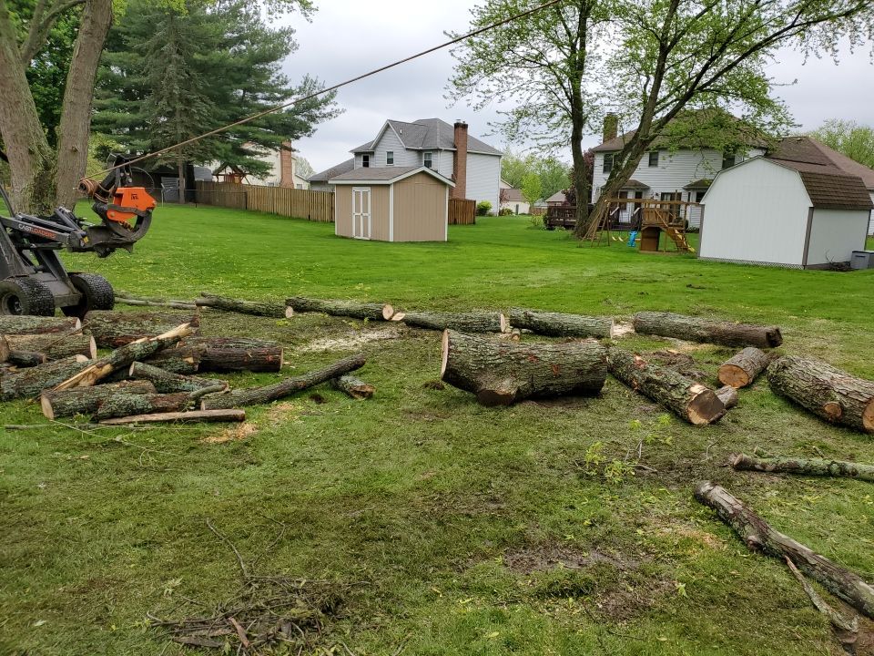 Tree Removal using Tree Removal by Mike Jones & Sons Tree Service LLC 