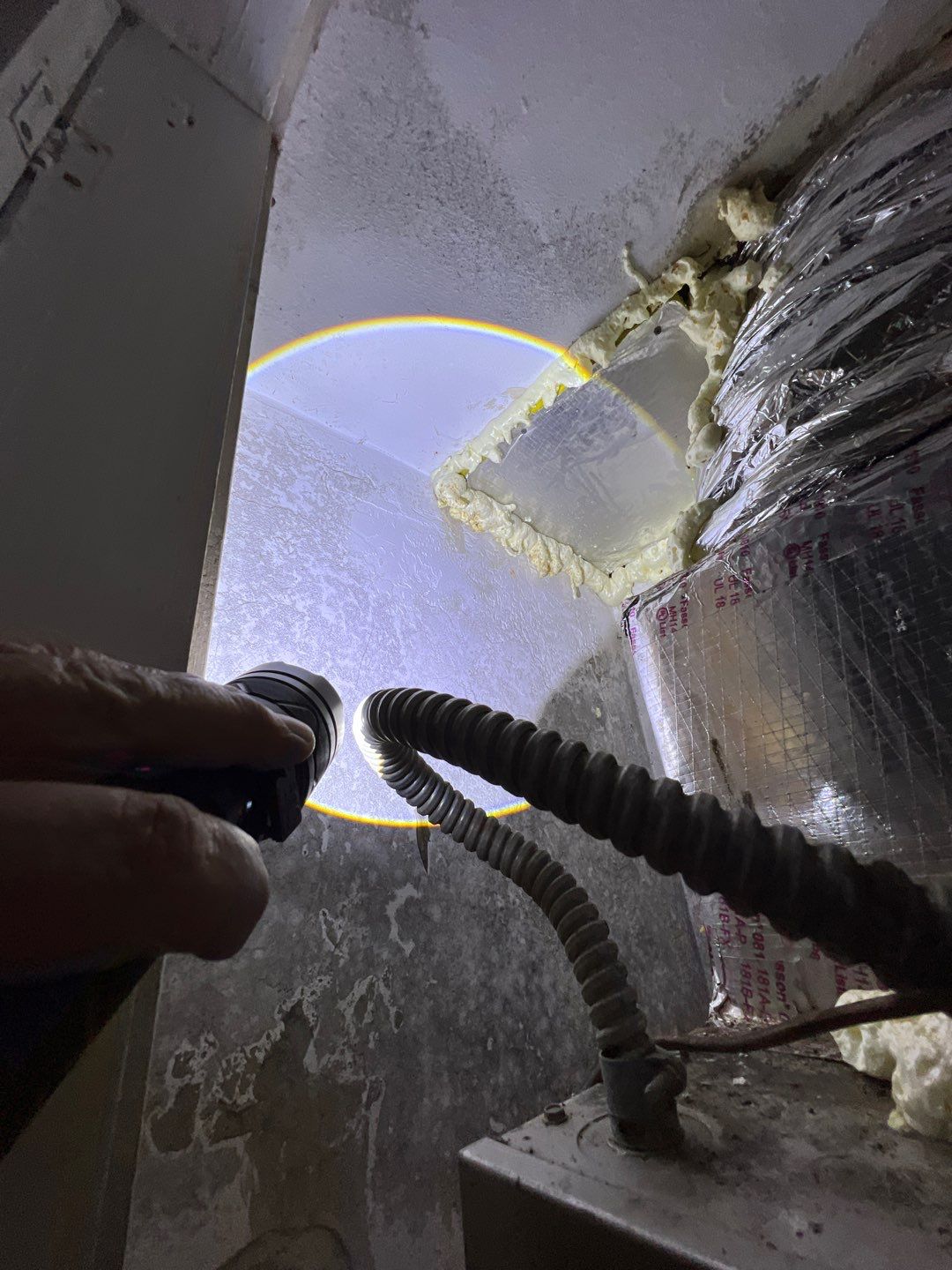 St Petersburg Mold Remediation by Ampm Restoration Services 