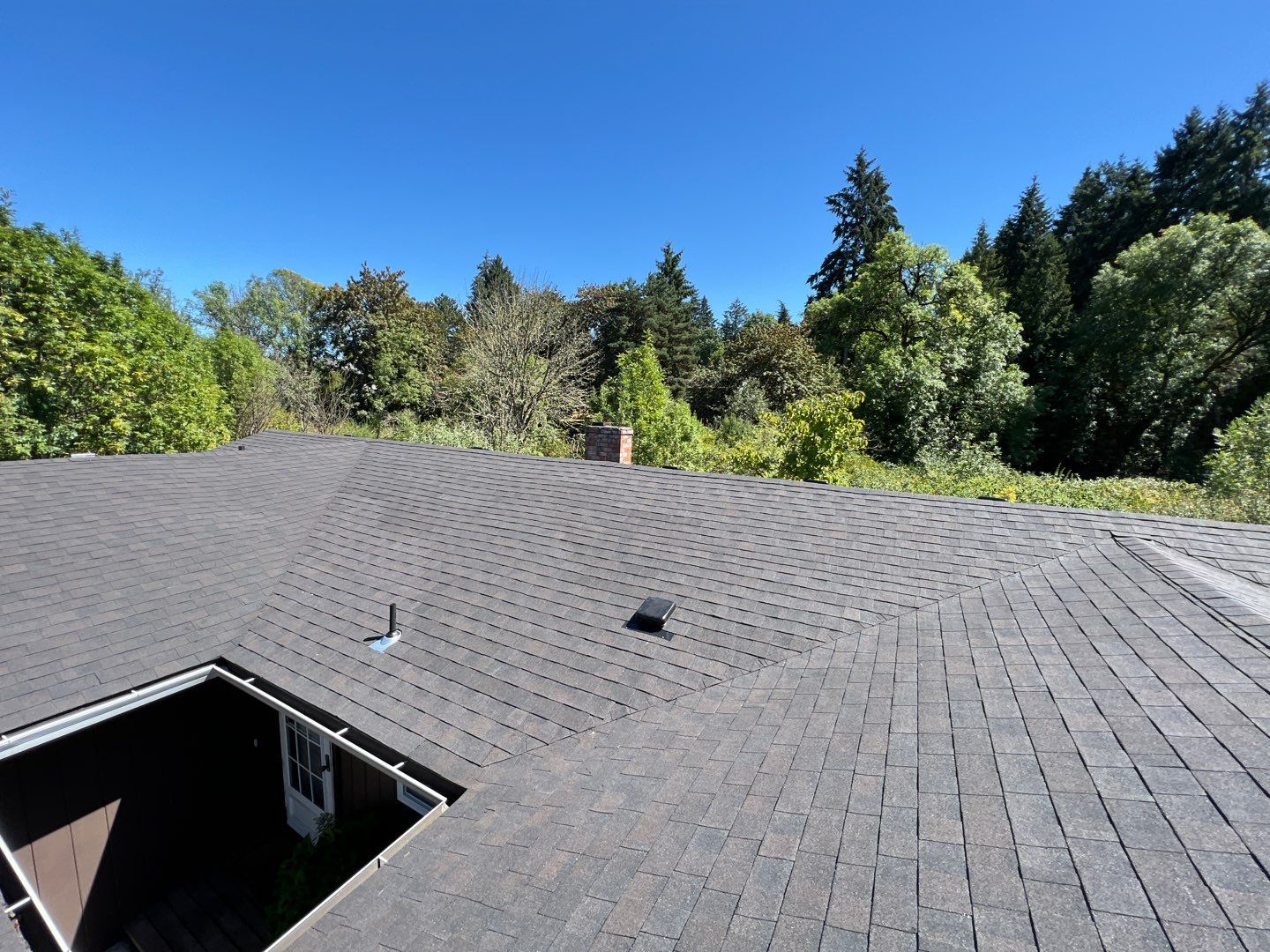 Black Sable Shingles by Reimagine Roofing