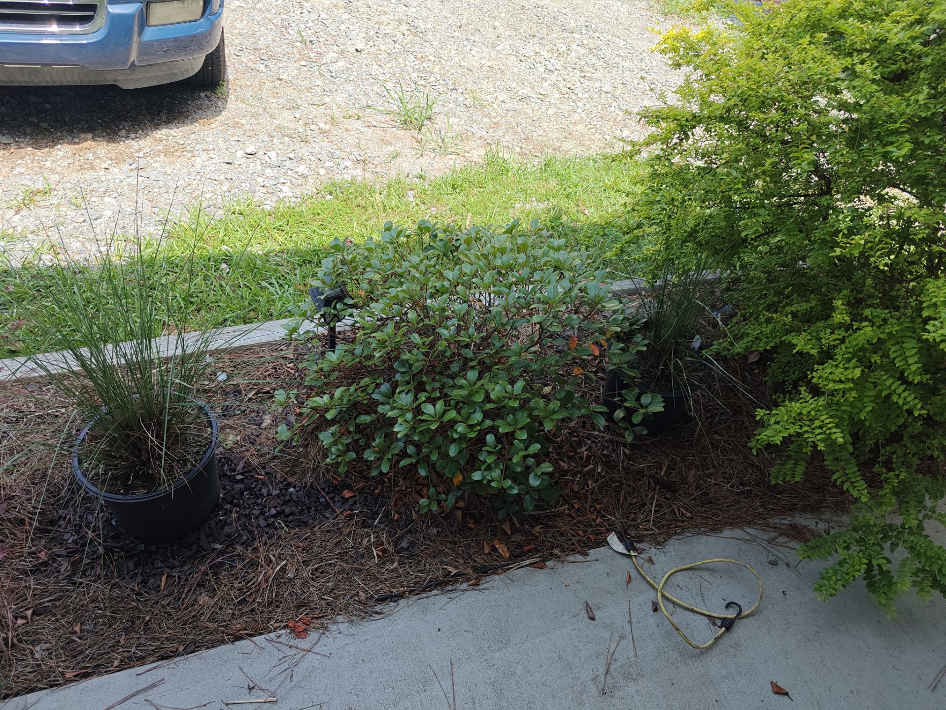 Weekly Landscaping  by College Bros Outdoor services