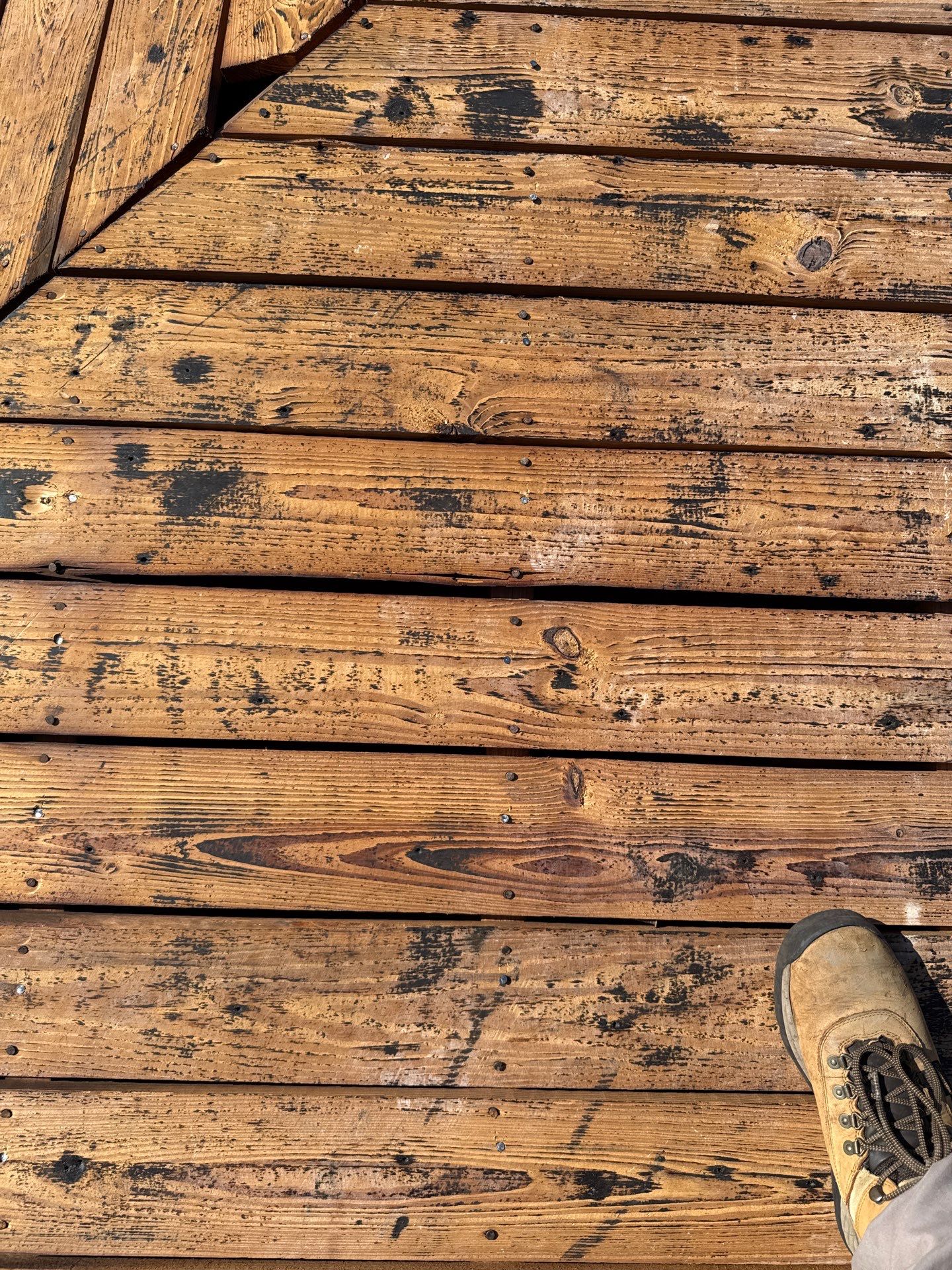 Project in St. Petersburg 33705 by Mitchell Roofing Company LLC 