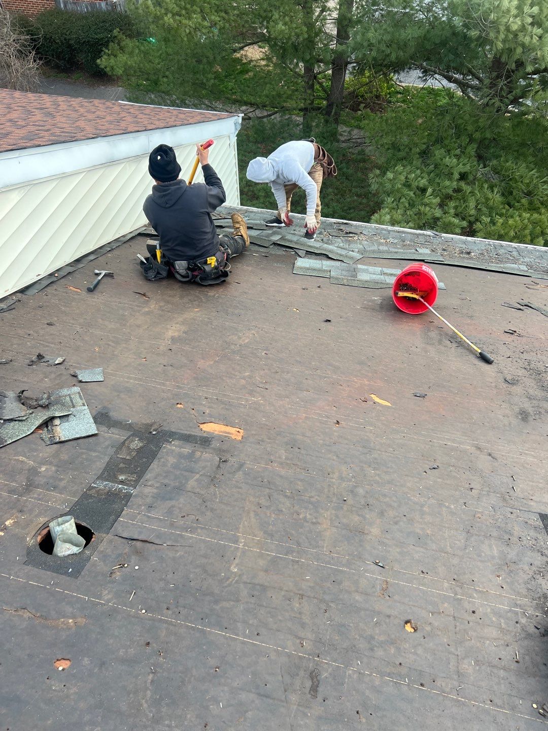 Autumn Brown Shingles by Reimagine Roofing