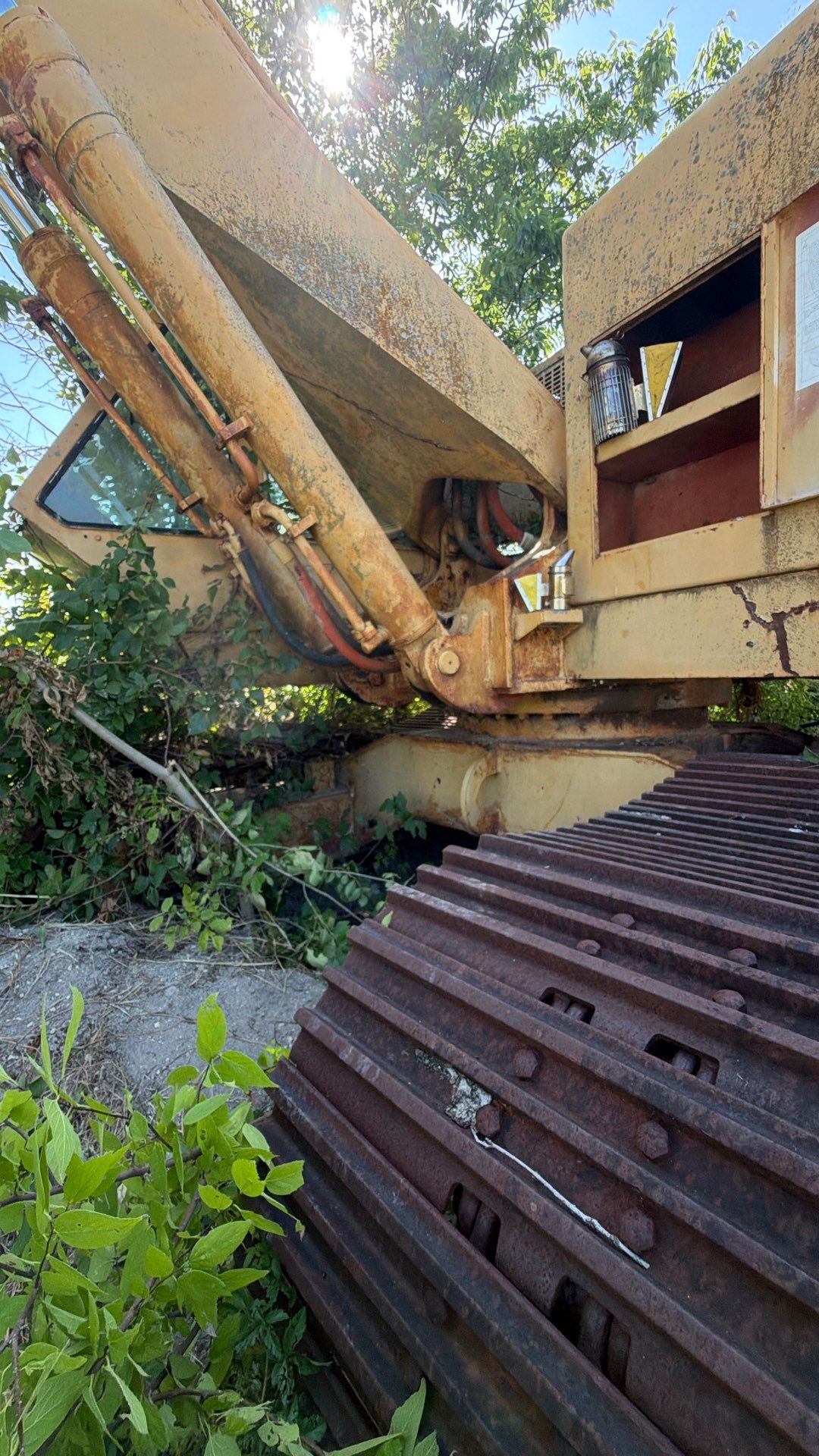 Backhoe Bees by Rockwall Honey Bee Company