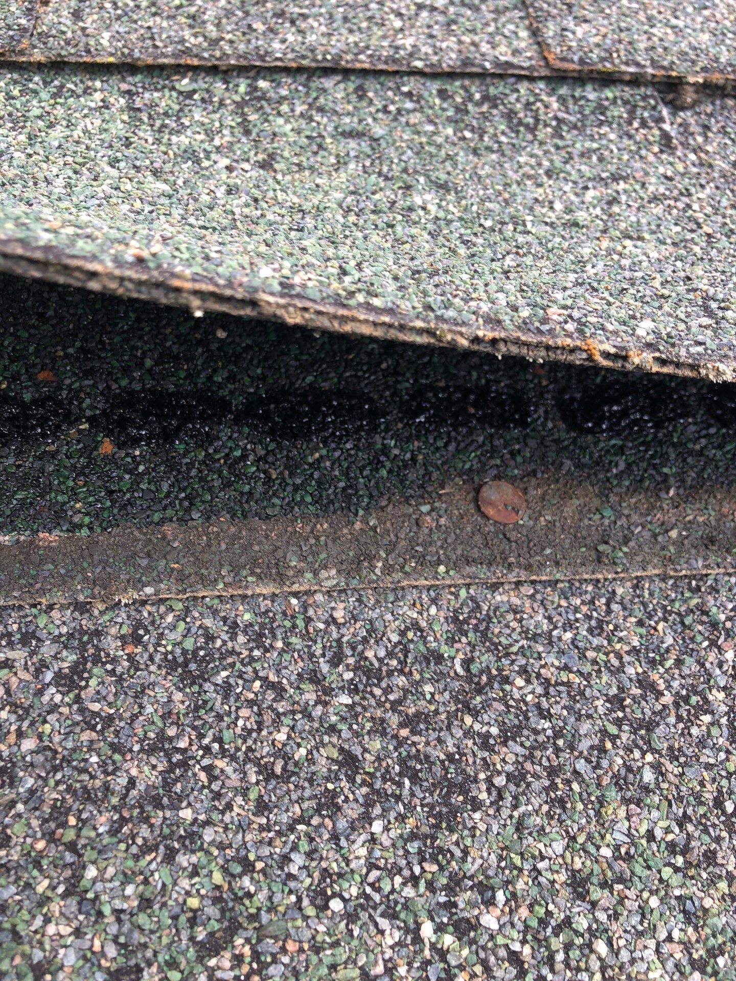 Project in Lynden by Connolly Construction Company