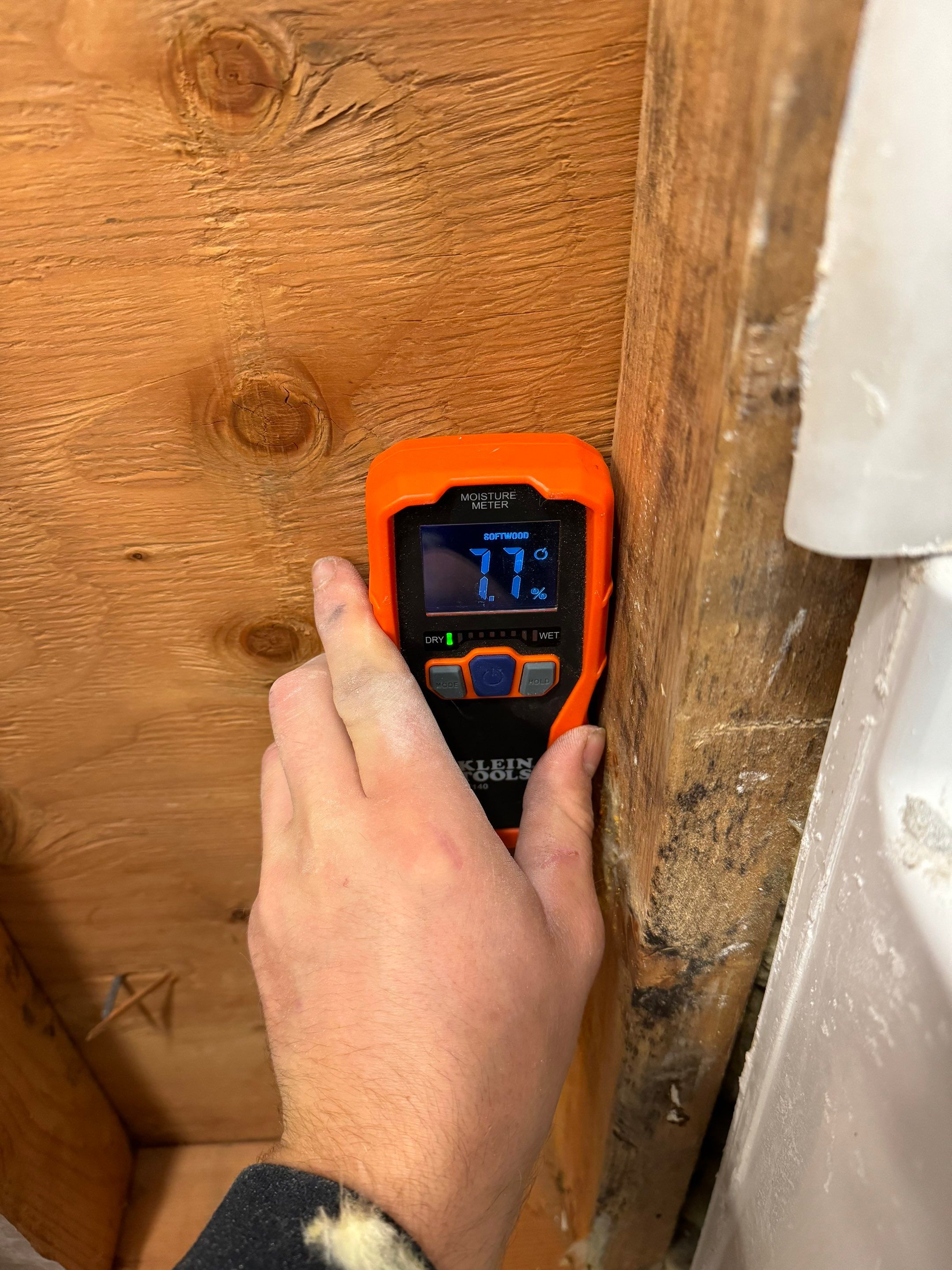 Bathroom Mold Remediation by Home Guarantee, LLC