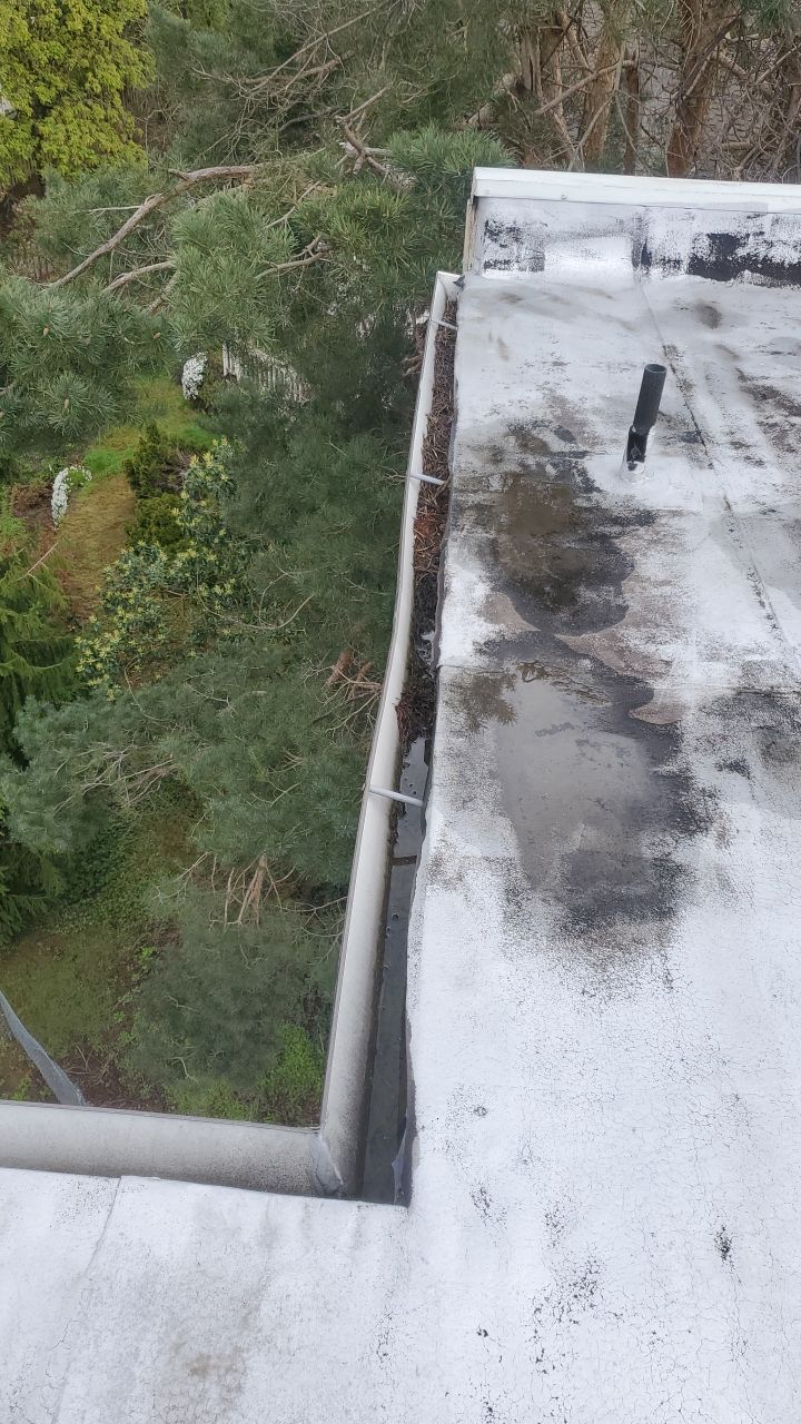 Gutter Cleaning using Moderate Pressure by Willamette Outdoor Wash LLC