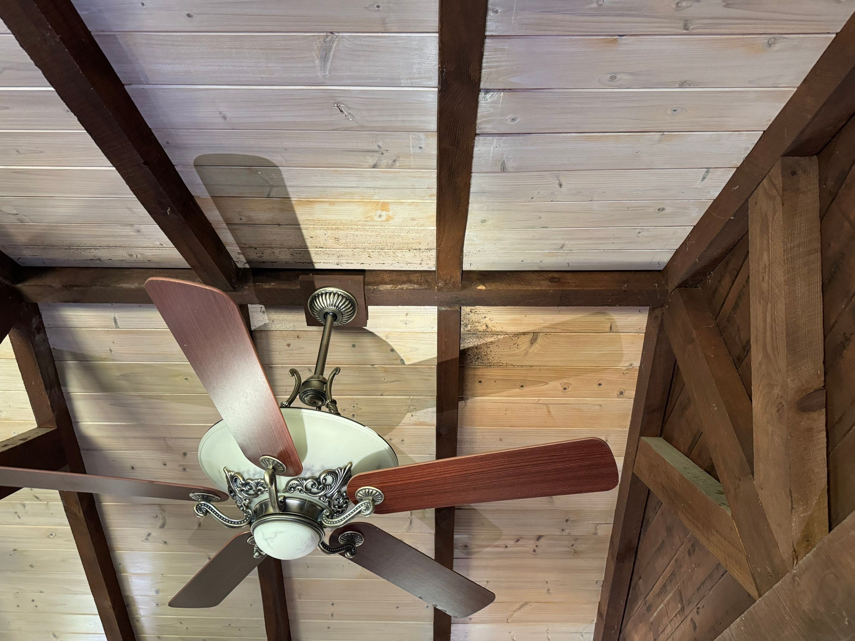 Attic & Sunroom Mold Remediation by Home Guarantee, LLC